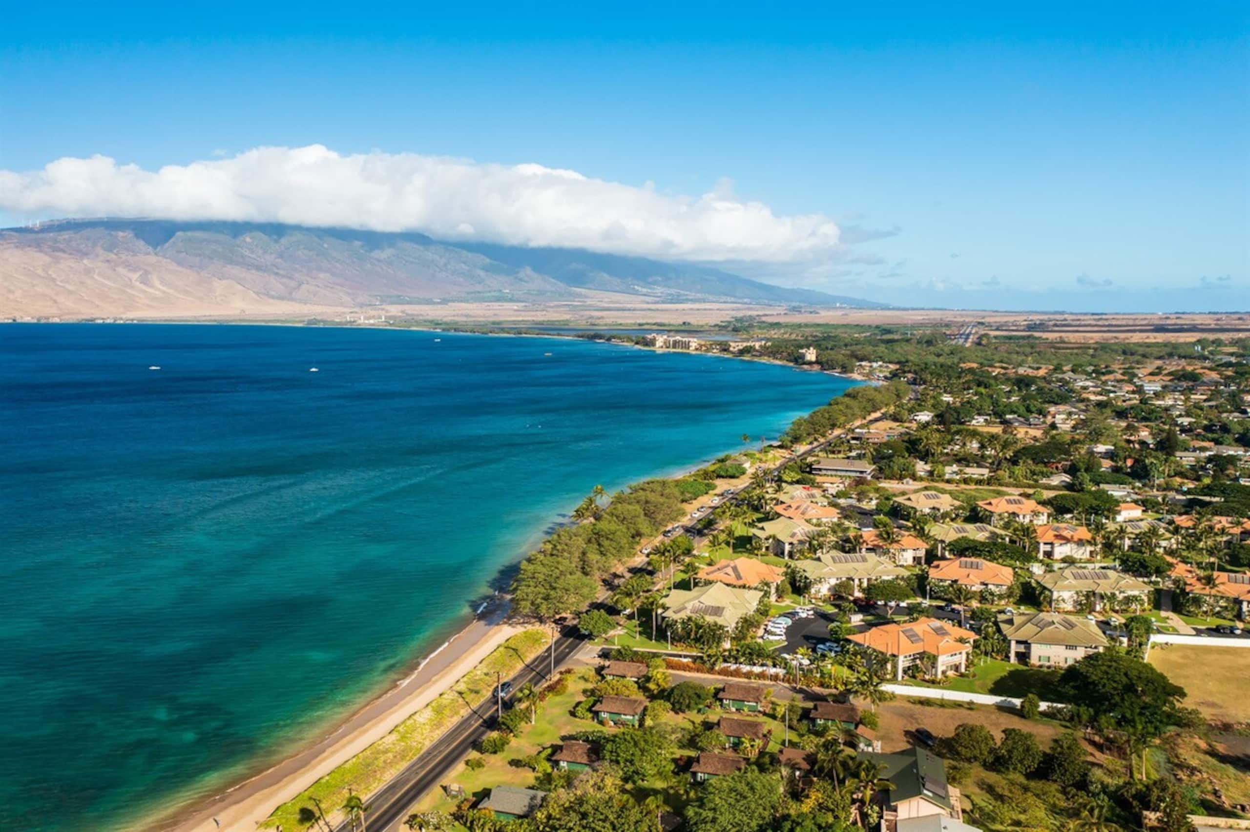 Condo in Kihei · ★4.8 · 2 bedrooms · 5 beds · 2 private baths - Image 24