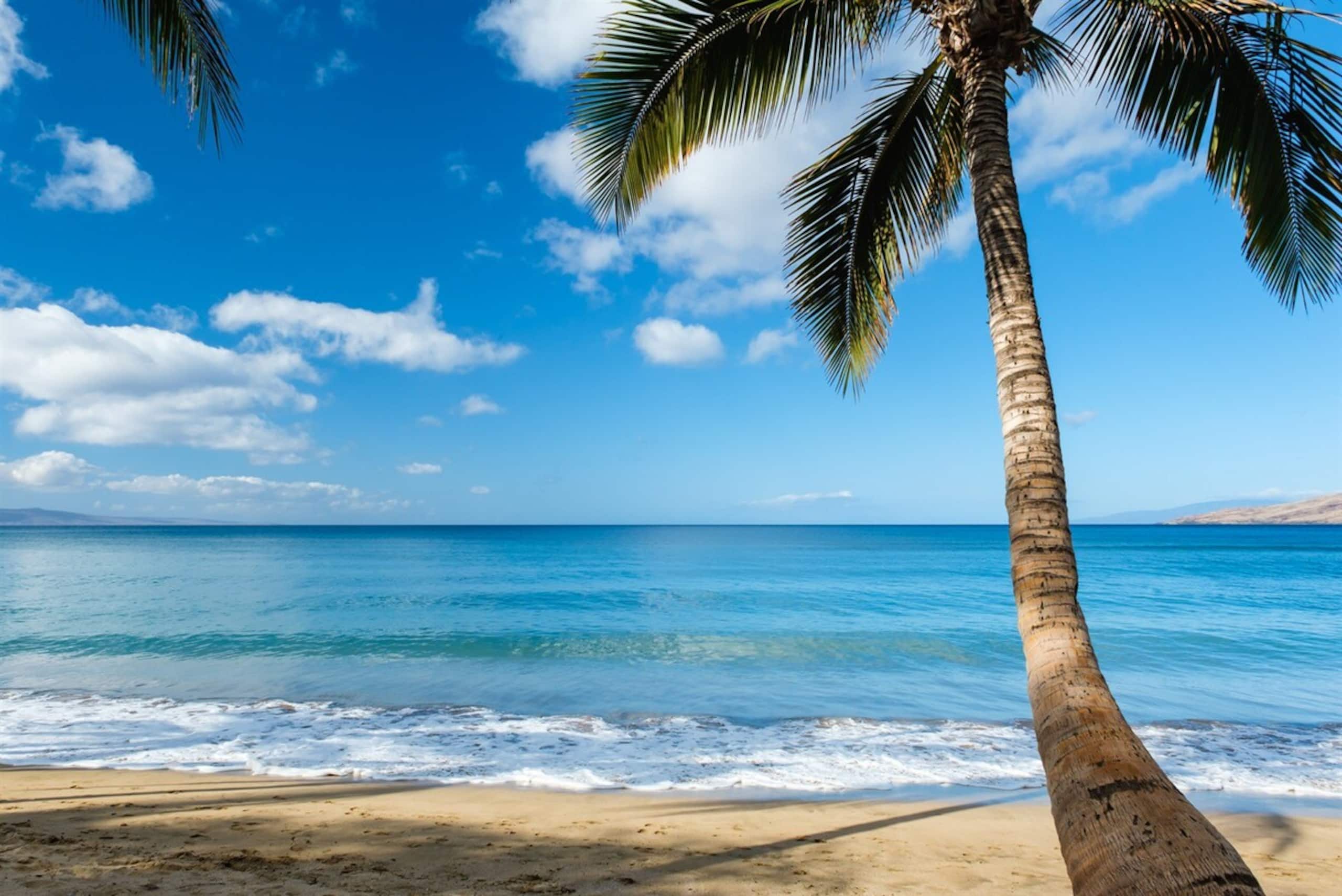 Condo in Kihei · ★4.8 · 2 bedrooms · 5 beds · 2 private baths - Image 27