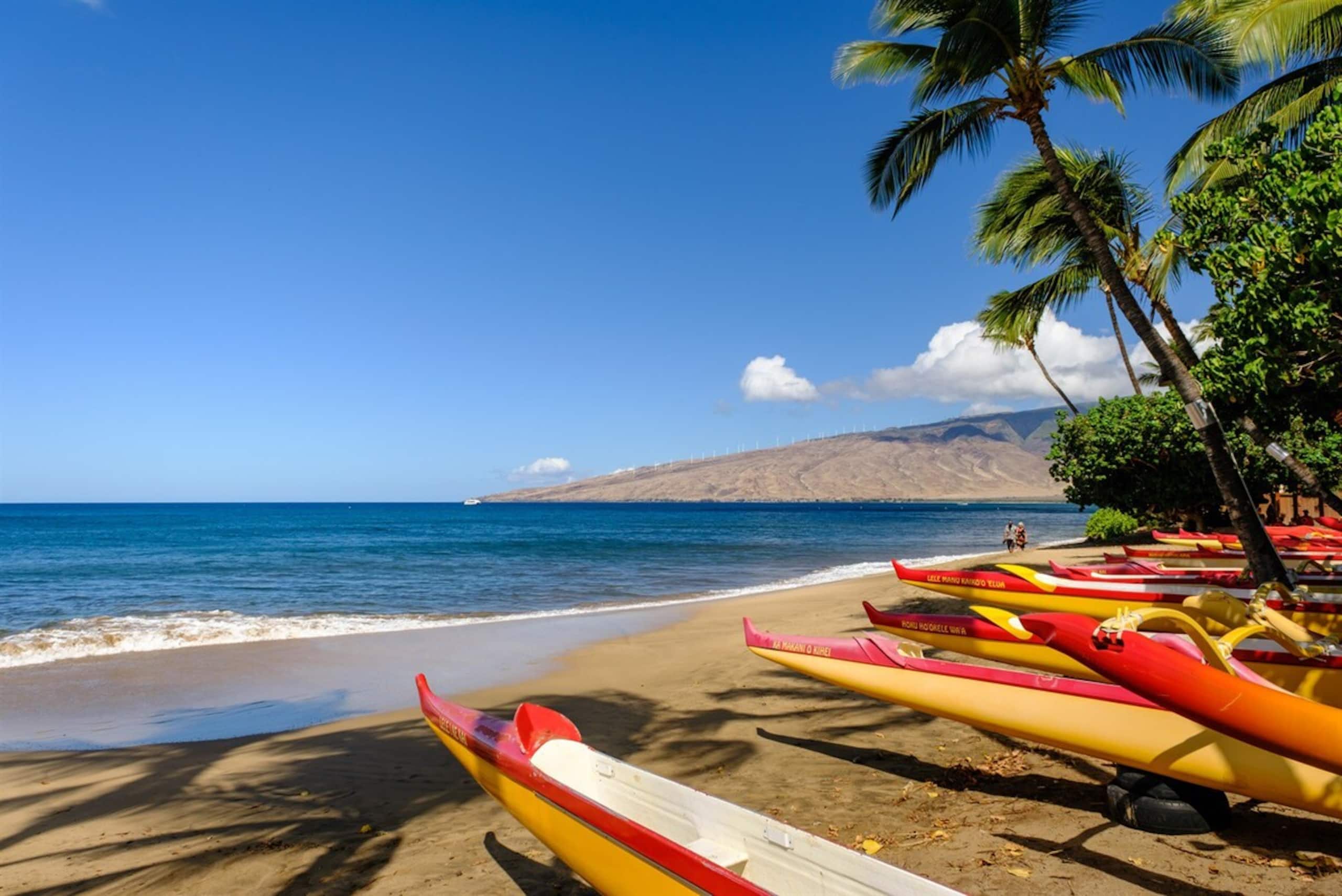 Condo in Kihei · ★4.8 · 2 bedrooms · 5 beds · 2 private baths - Image 5
