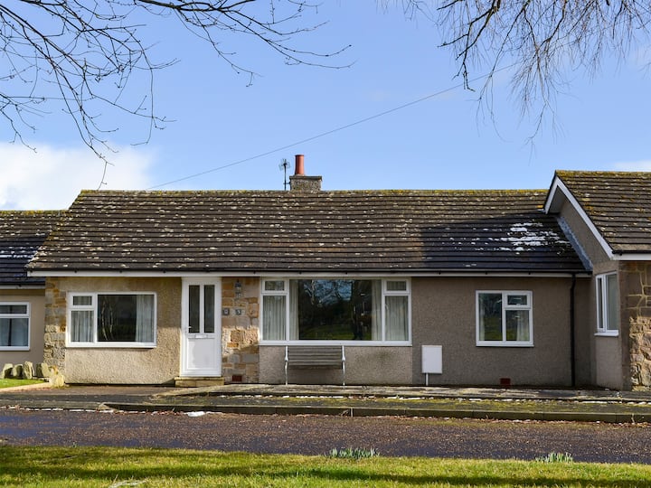 Bickertons Field - Bamburgh