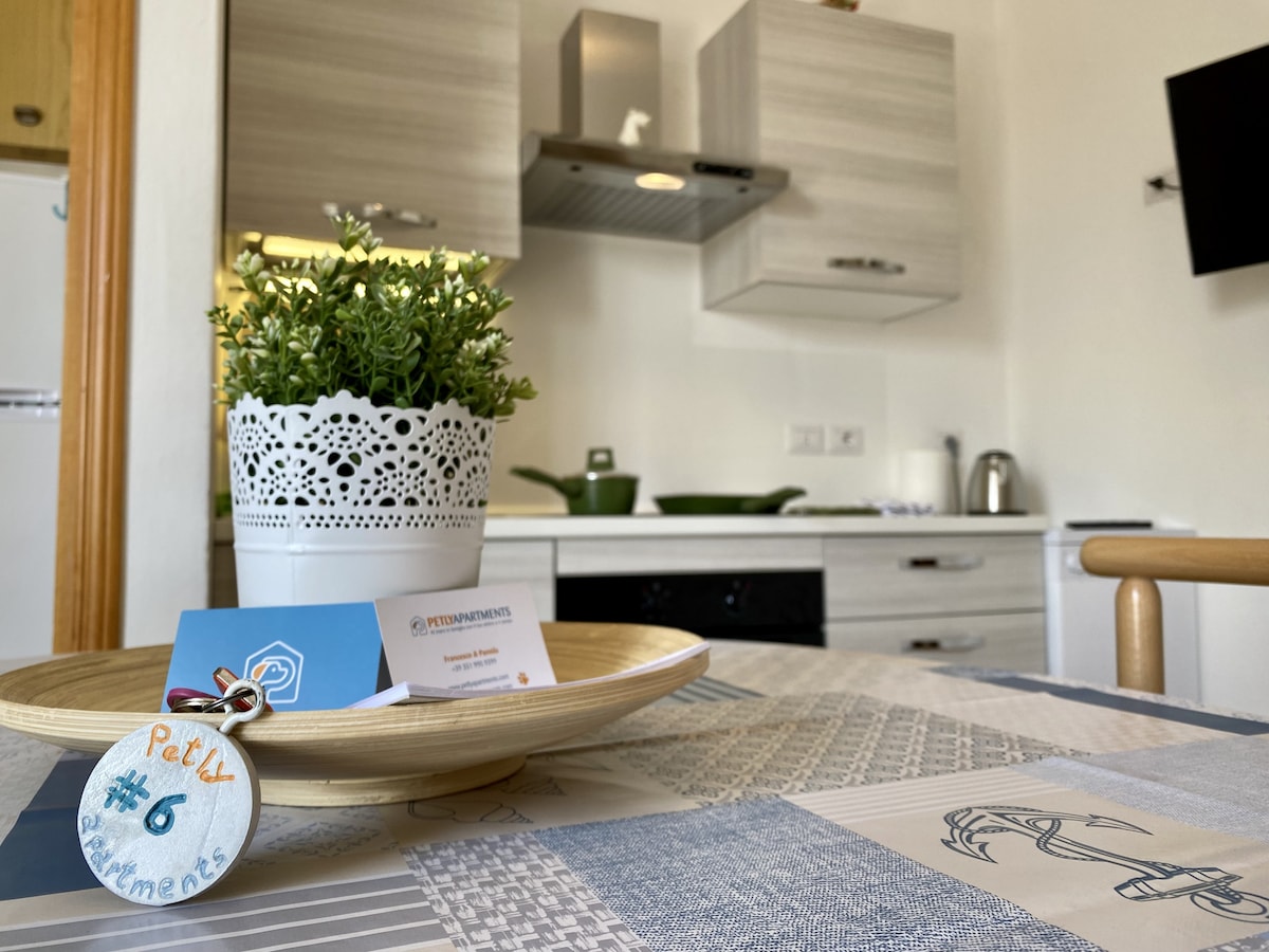 Propriété Airbnb réussie: PetlyApartments #6 à Bellaria Igea Marina