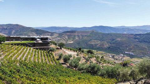 Douro Views