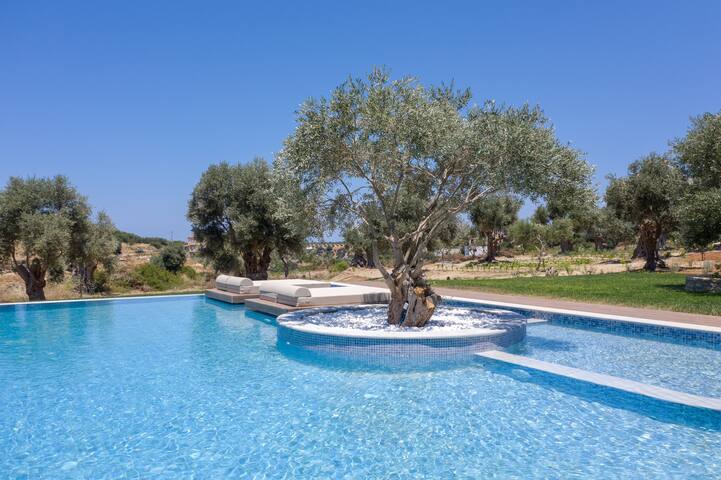 Thyme villa,Huge private pool,near amenities gallery image 3