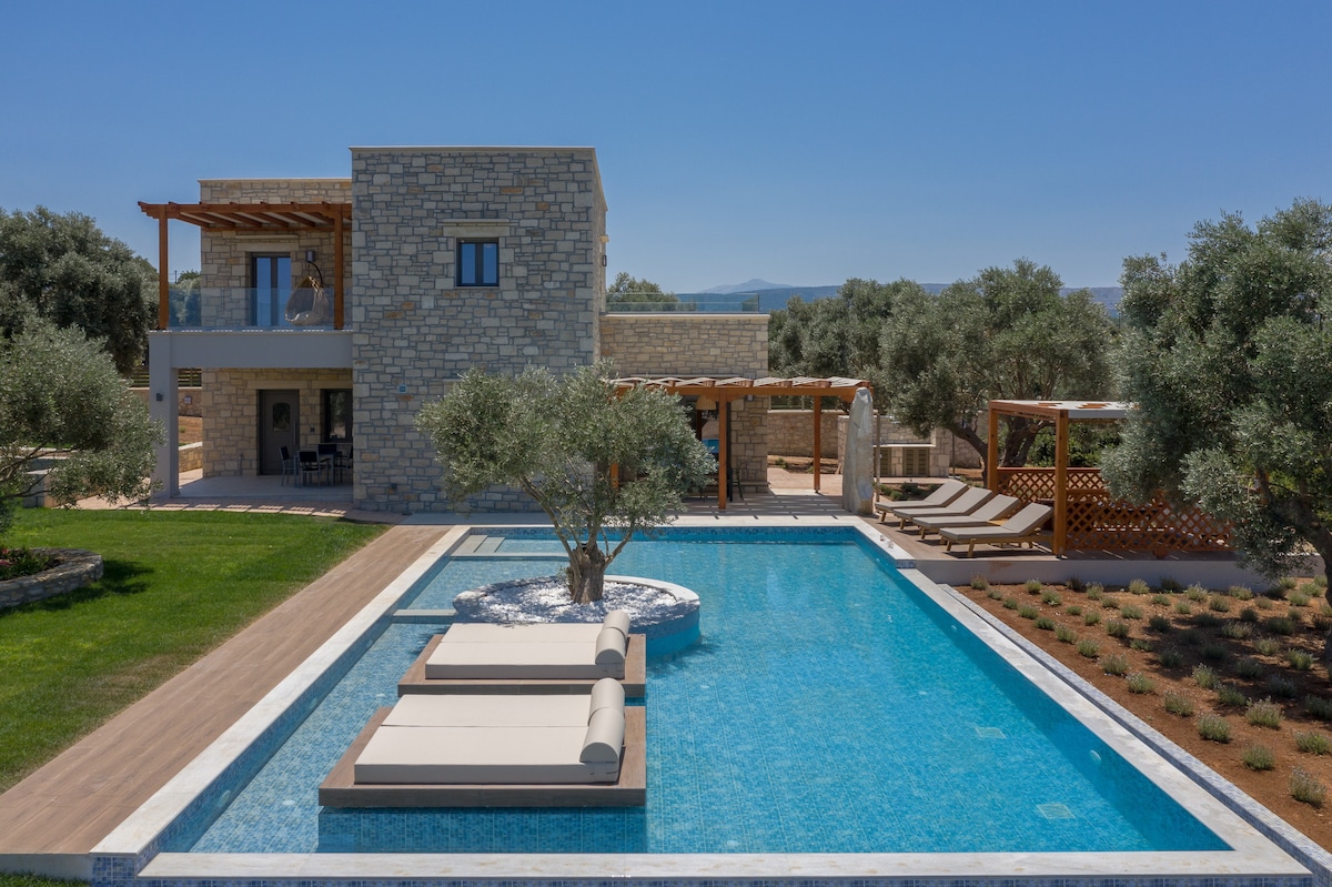 A modern stone villa stands in a serene setting, surrounded by olive trees. A spacious swimming pool features built-in islands with sunbeds. Relaxed seating areas are visible, alongside shaded pergolas and well-maintained lawn areas, all under a clear blue sky.