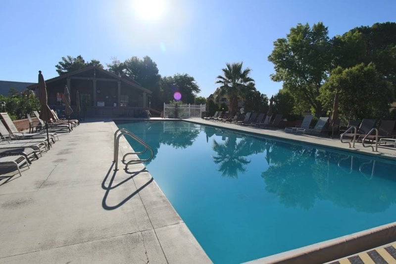 A large outdoor swimming pool is surrounded by lounge chairs, with palm trees and lush greenery in the background. A shade structure with seating is visible to one side of the pool, and sunlight reflects off the clear blue water.