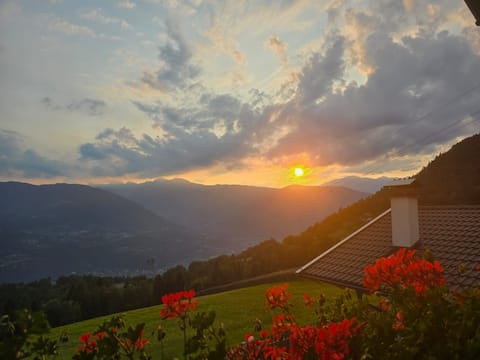 Eichernhof Apartment - Marillenblüte