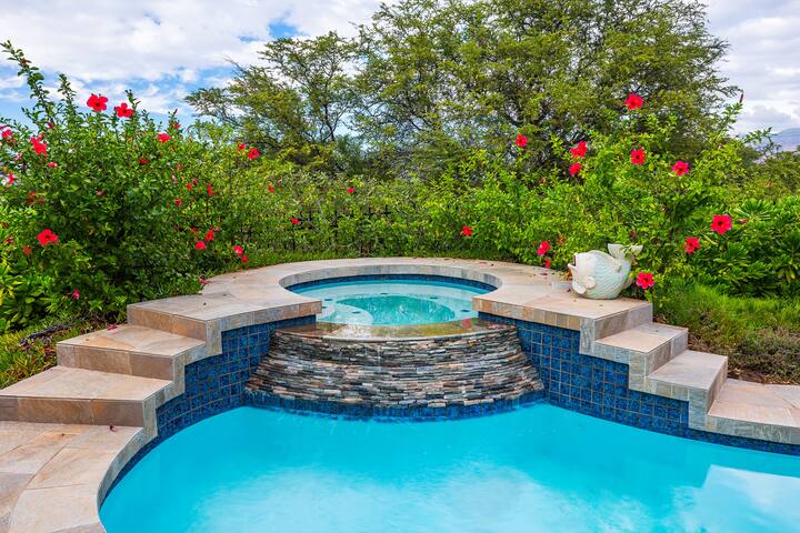 Beautiful 4 Bdrm Home at KaMilo w/pool, Sleeps 10! gallery image 3