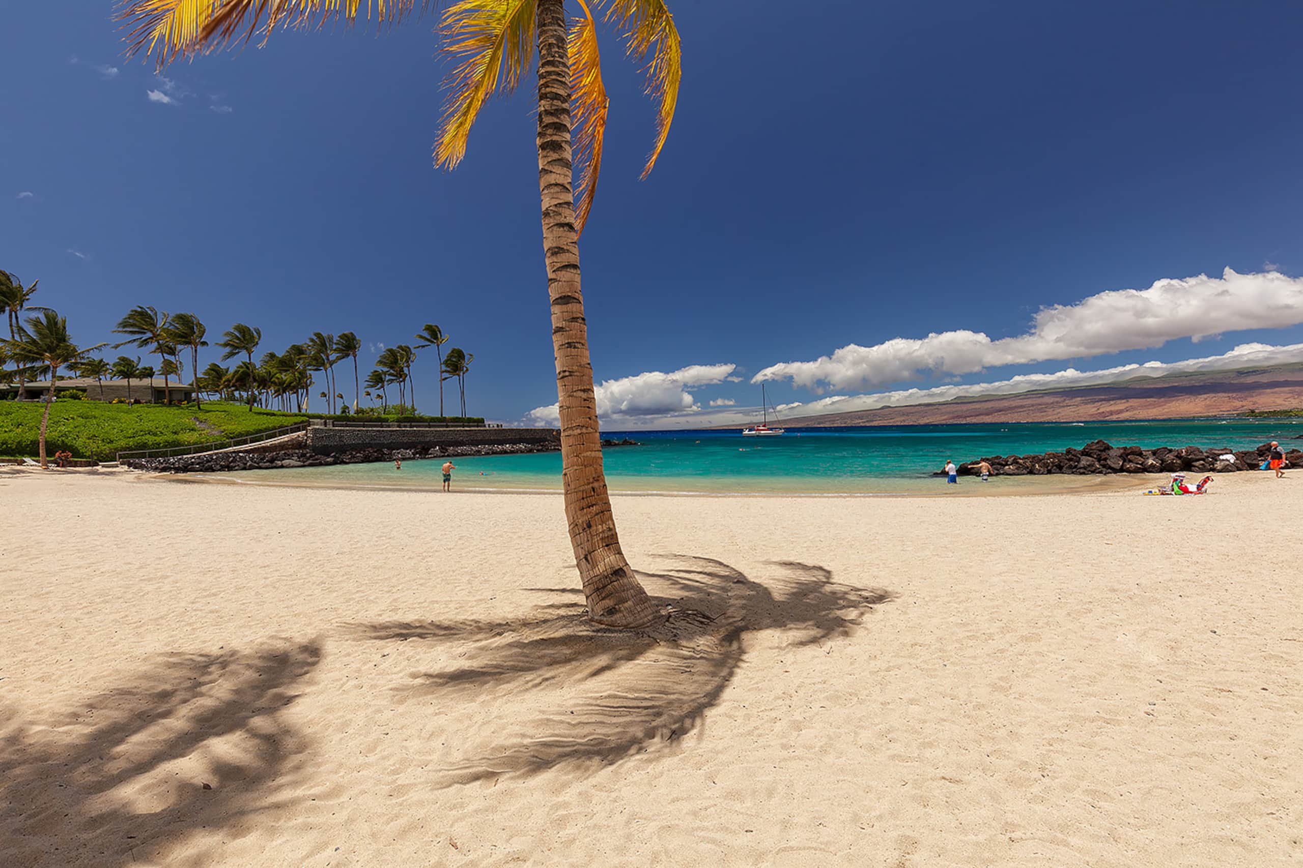 Condo in Waimea · ★5.0 · 3 bedrooms · 3 beds · 3.5 baths - Image 16