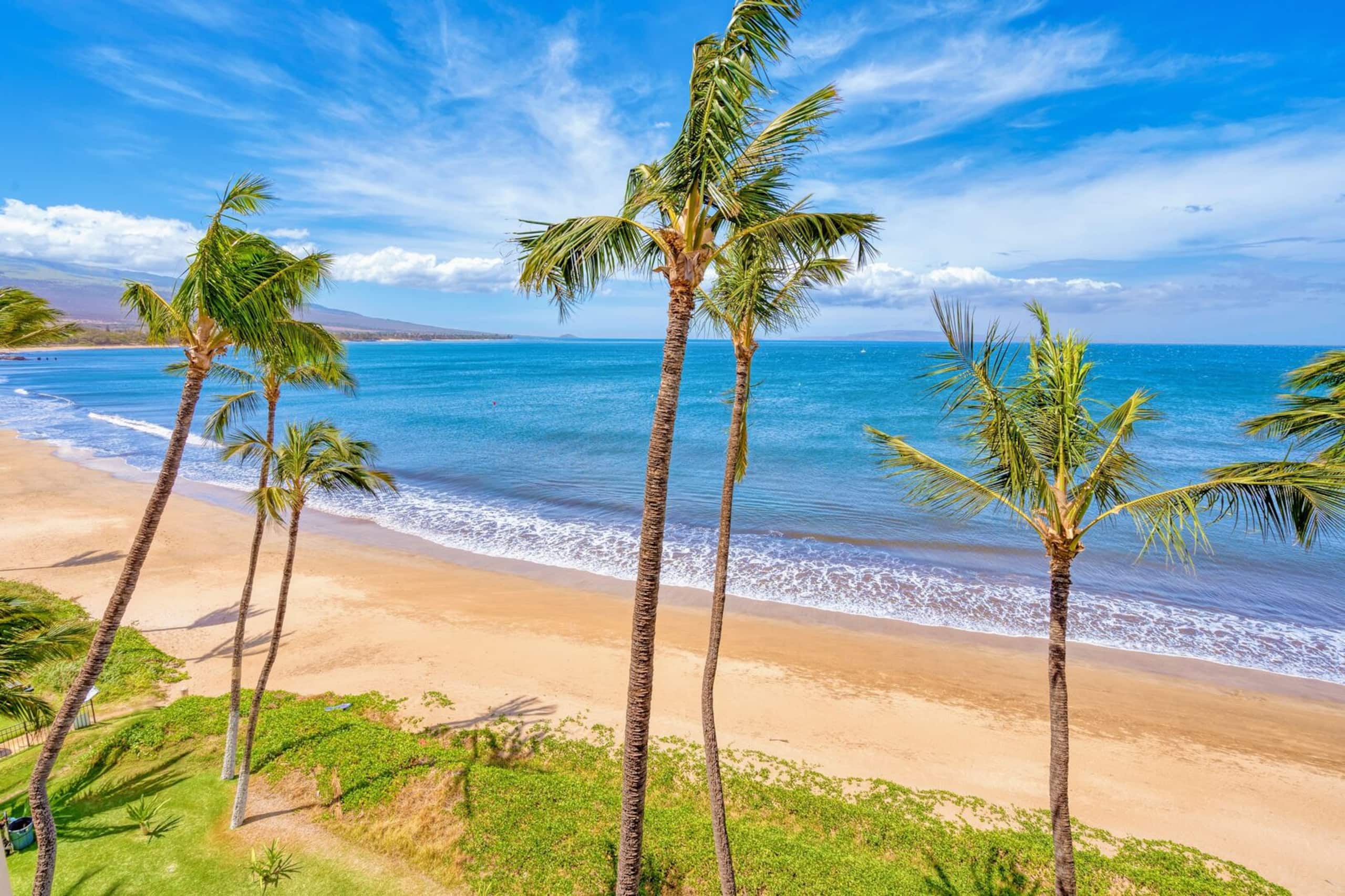 Condo in Kihei · ★4.87 · 1 bedroom · 2 beds · 1 bath - Image 20