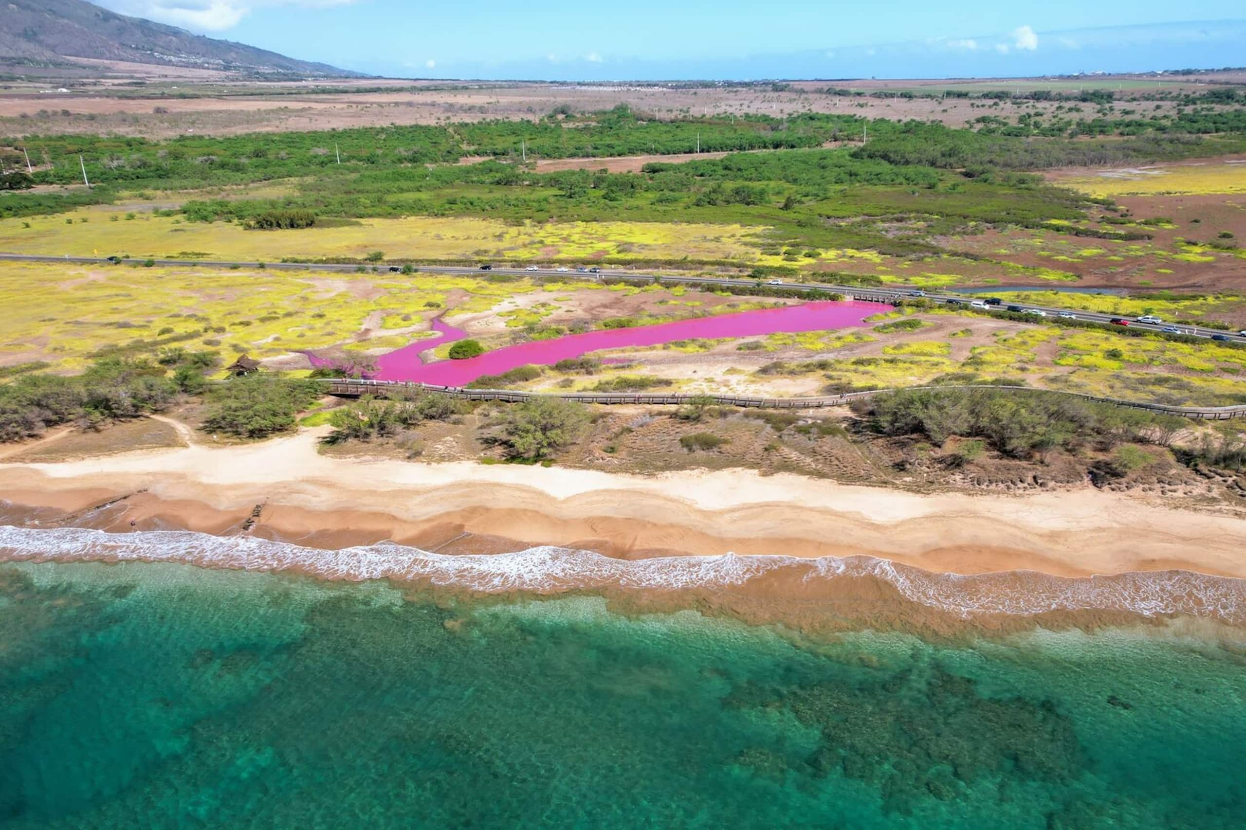 Condo in Kihei · ★4.87 · 1 bedroom · 2 beds · 1 bath - Image 37