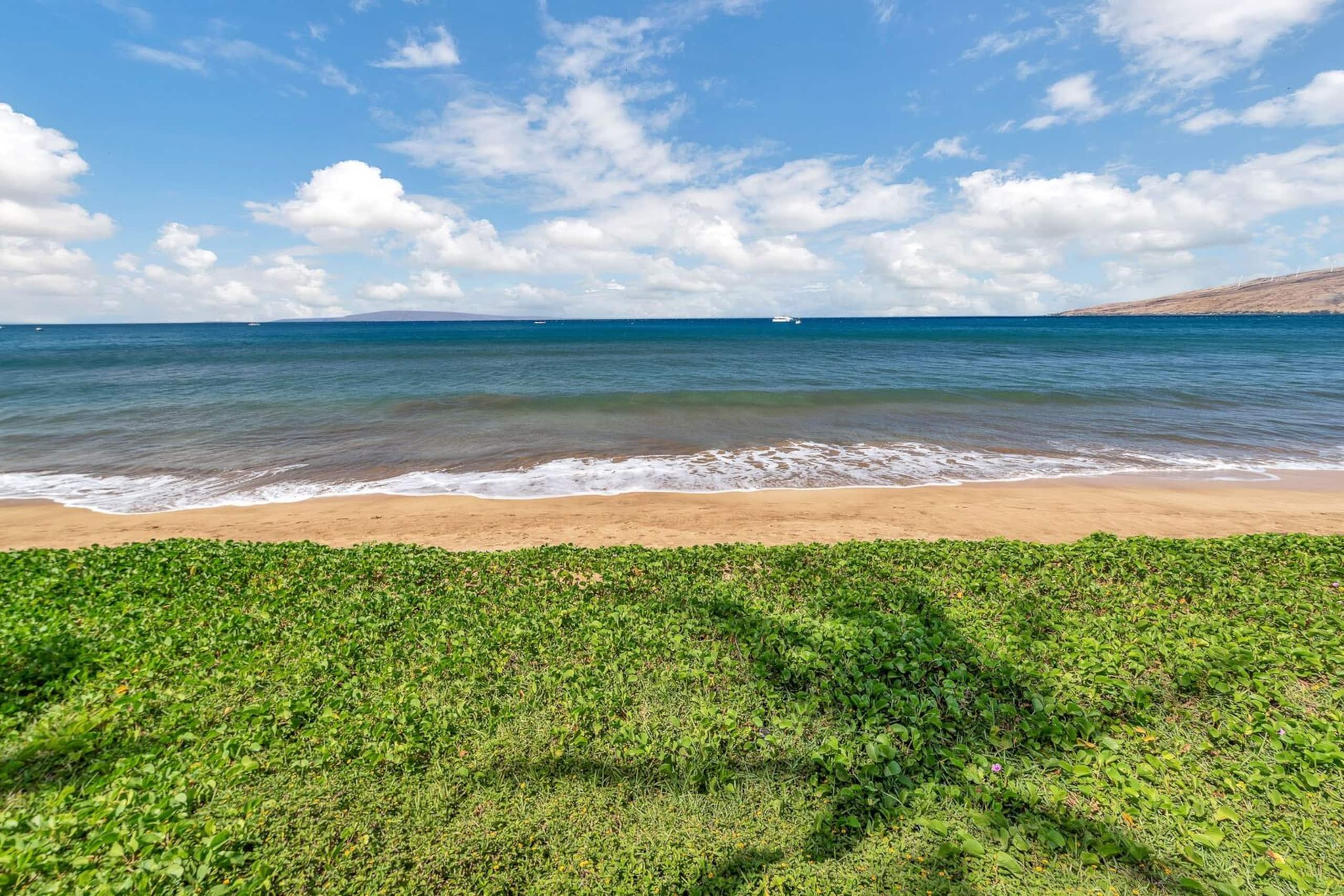 Condo in Kihei · ★4.87 · 1 bedroom · 2 beds · 1 bath - Image 32