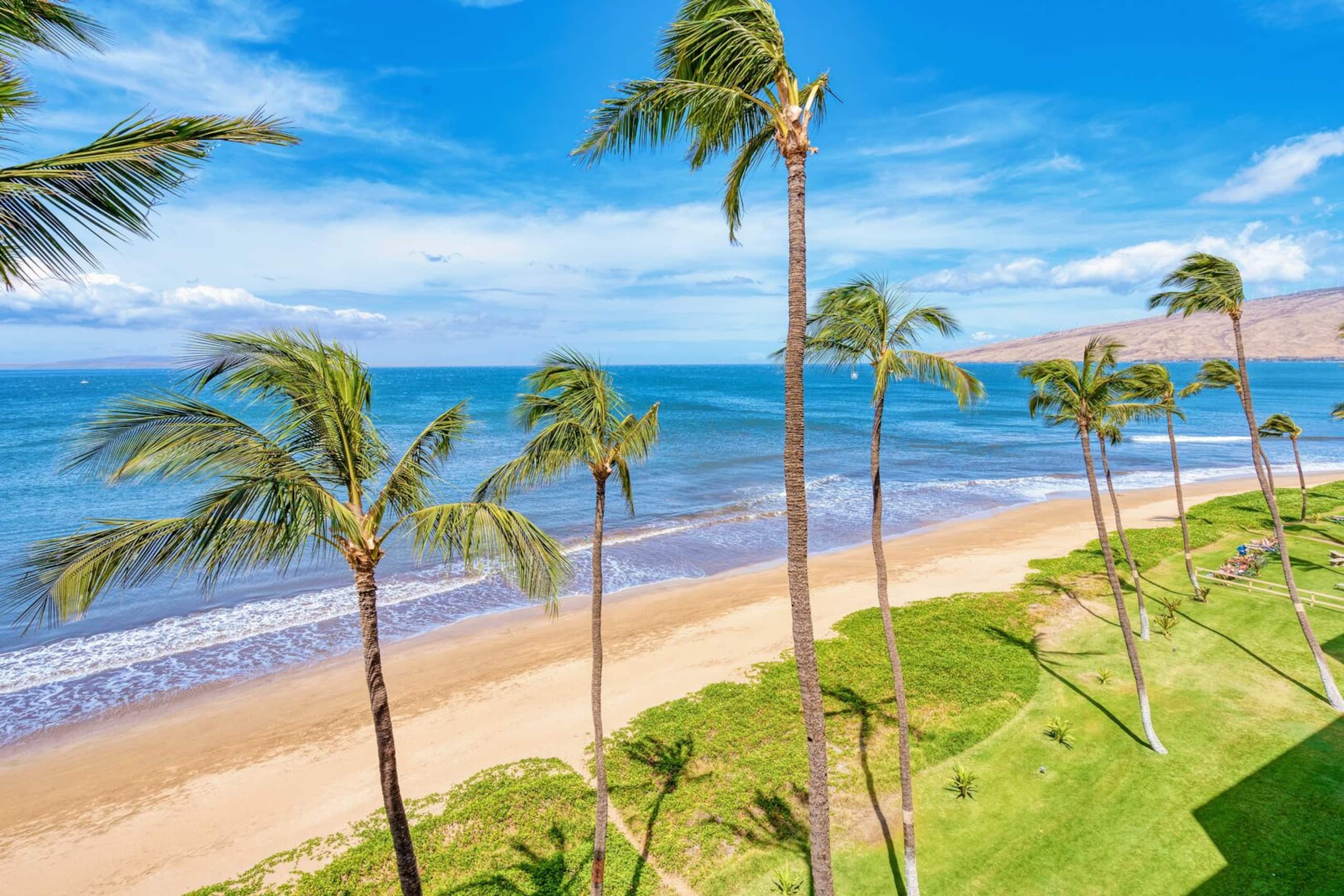 Condo in Kihei · ★4.87 · 1 bedroom · 2 beds · 1 bath - Image 21