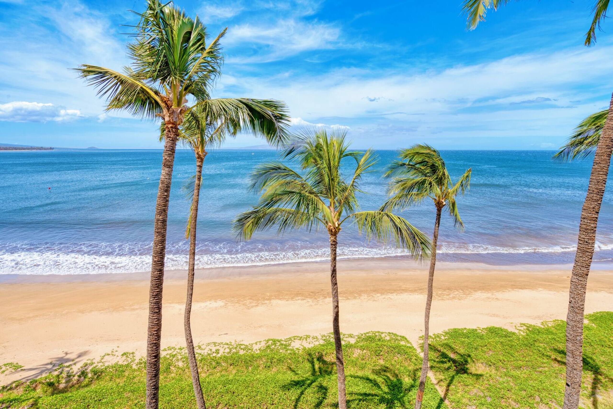 Condo in Kihei · ★4.87 · 1 bedroom · 2 beds · 1 bath - Image 22