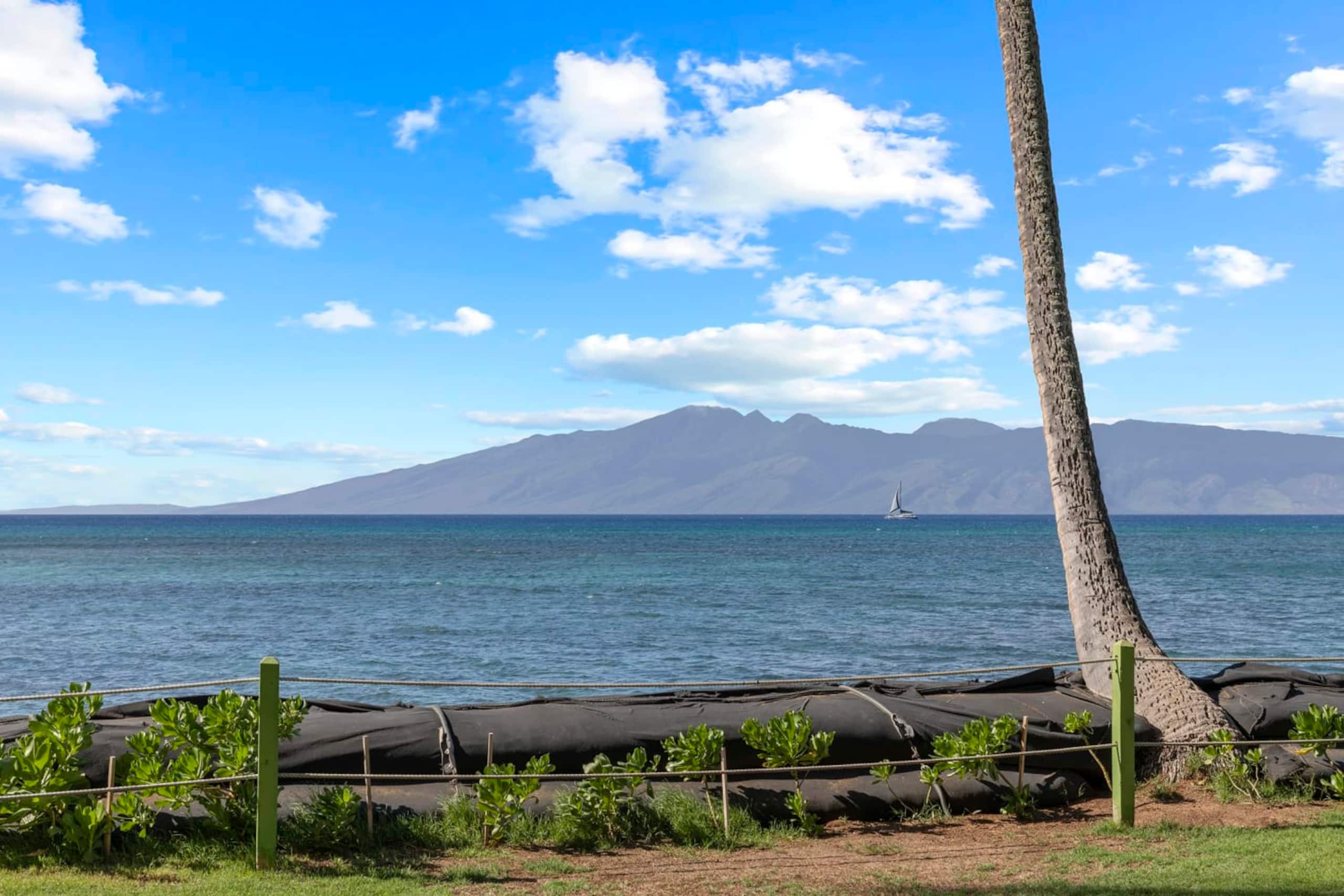 Condo in Lahaina · ★4.36 · 1 bedroom · 1 bath - Image 22