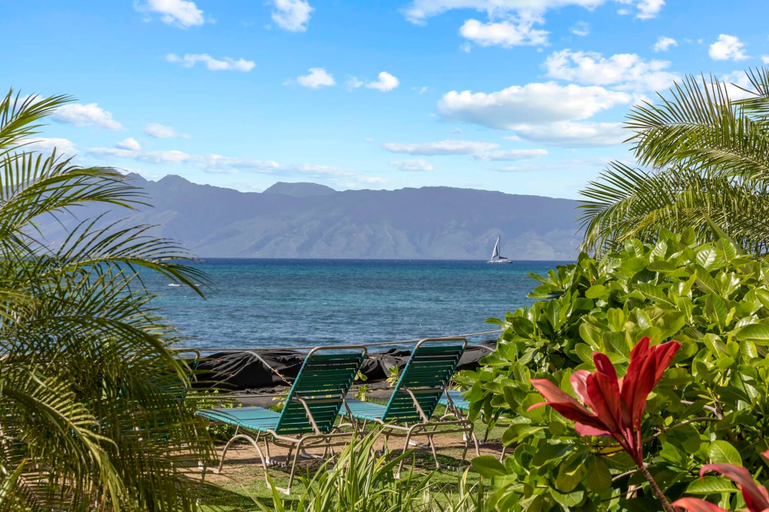 Condo in Lahaina · ★4.36 · 1 bedroom · 1 bath - Image 23