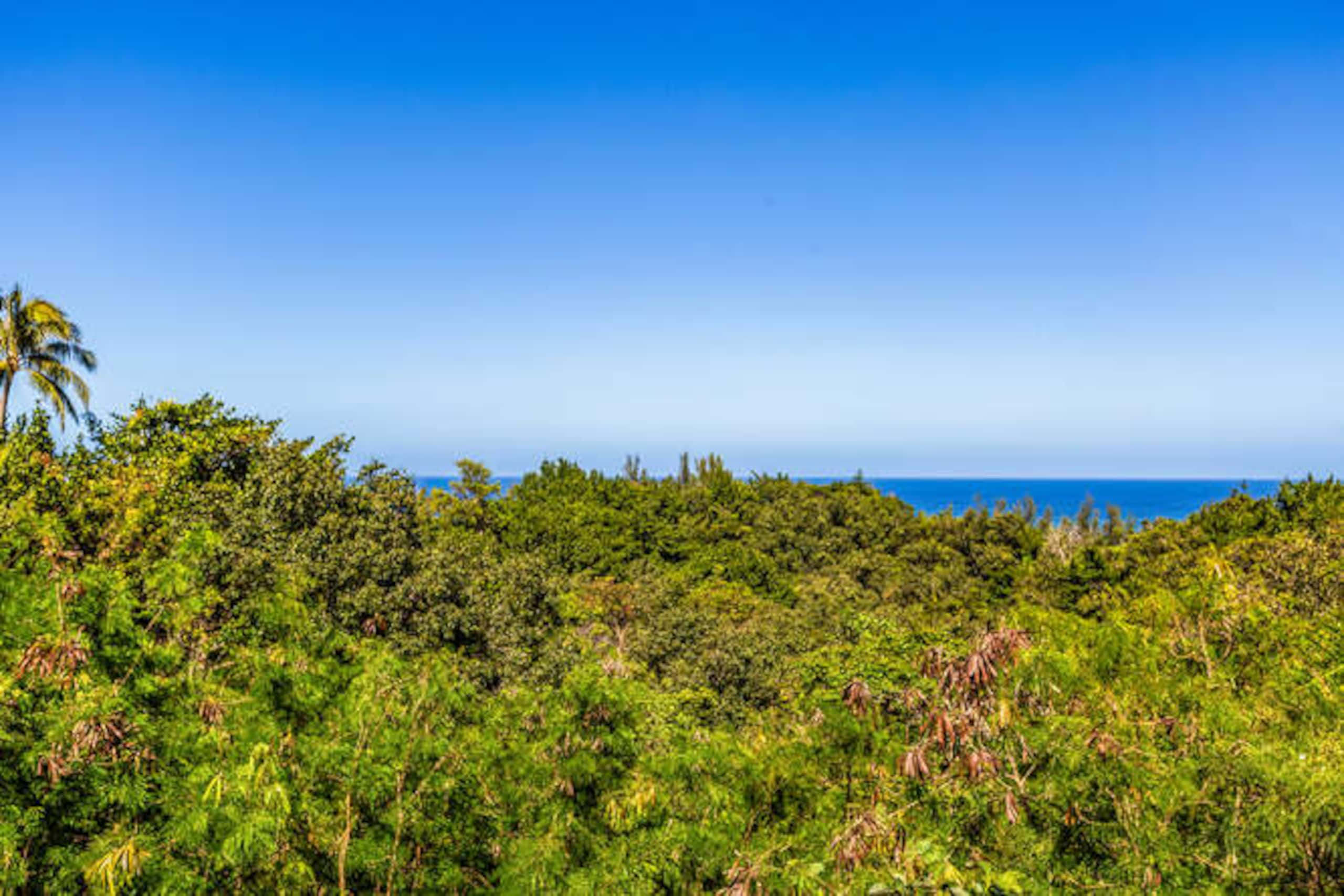 Home in Princeville · ★4.98 · 6 bedrooms · 7 beds · 3 baths - Image 32
