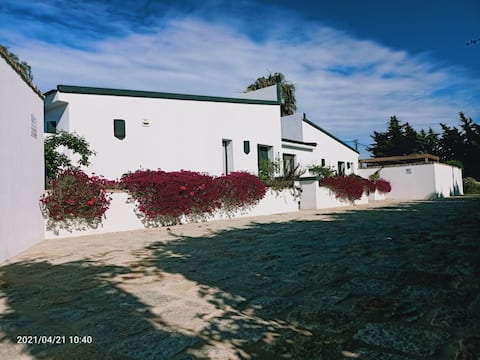 Successful Airbnb property: Cubeb in Conil De La Frontera
