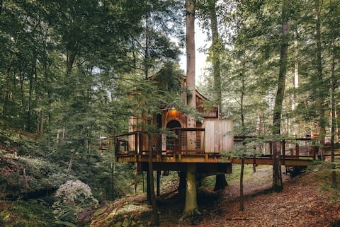 The Beech Treehouse | Hocking Hills