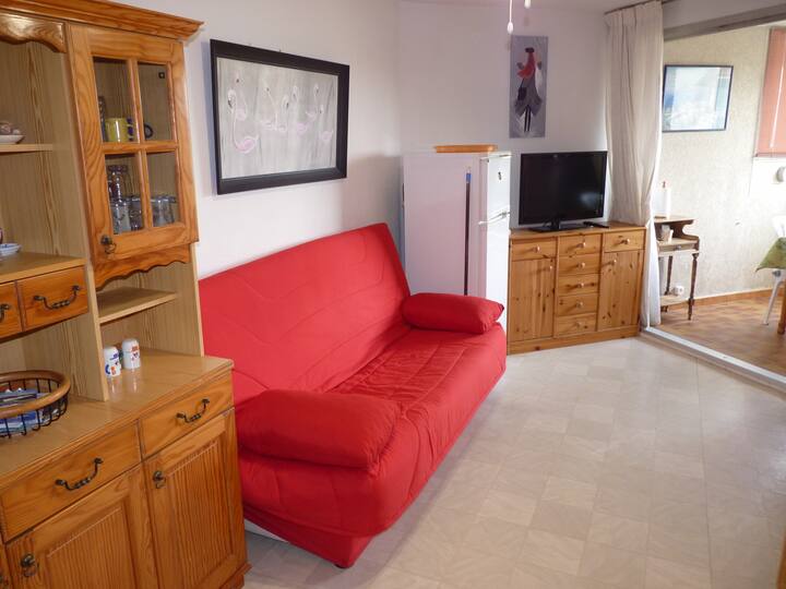 Sebule ya studio yenye kitanda cha sofa 