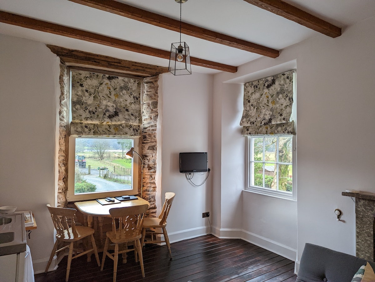 A light-filled corner of the spacious studio features a round wooden table surrounded by three wooden chairs. A small wall-mounted TV is visible, with a window overlooking the garden area, enhancing the inviting ambiance of the room.