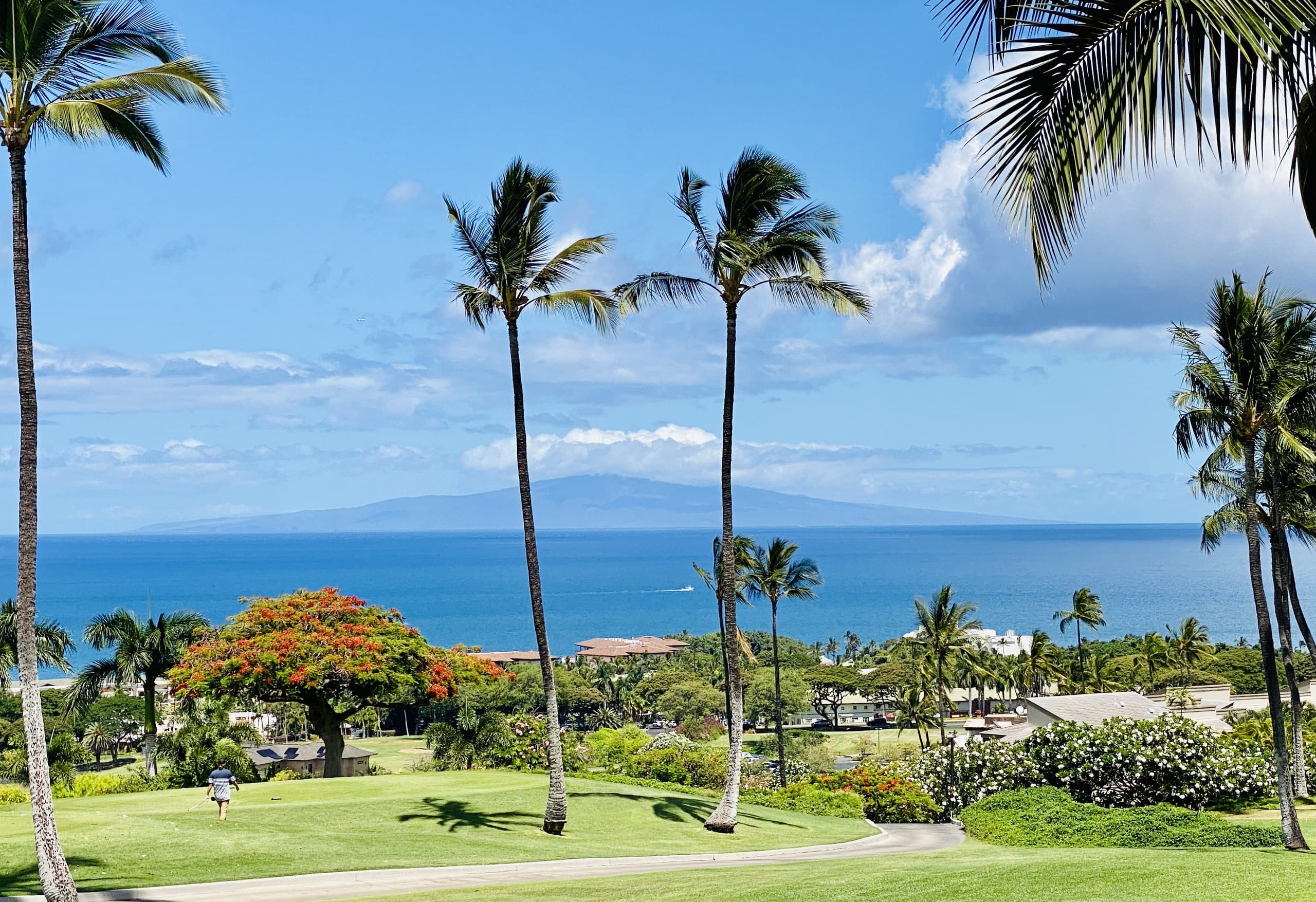 Condo in Wailea · ★5.0 · 2 bedrooms · 3 beds · 2 baths - Image 1