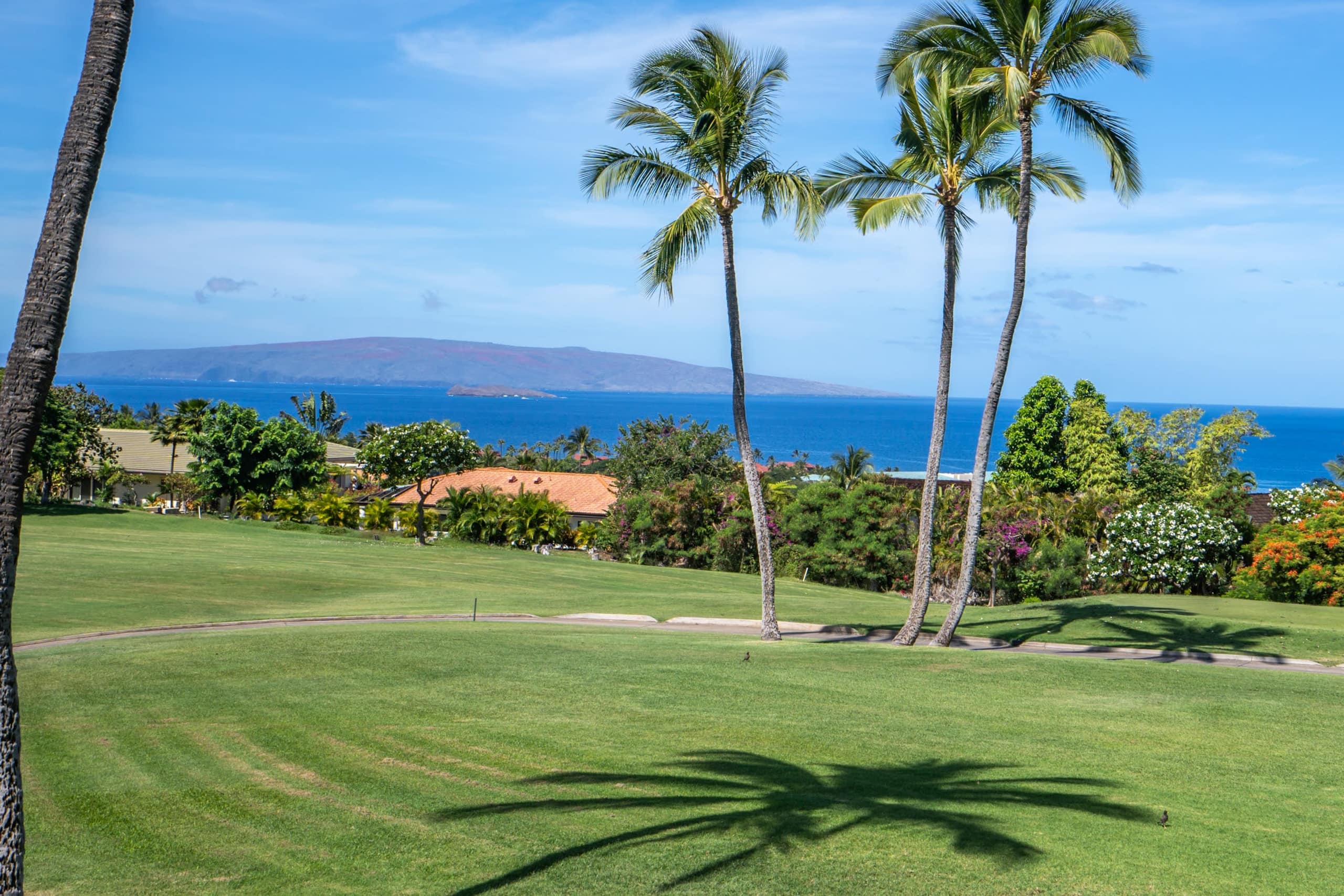 Condo in Wailea · ★5.0 · 2 bedrooms · 3 beds · 2 baths - Image 14