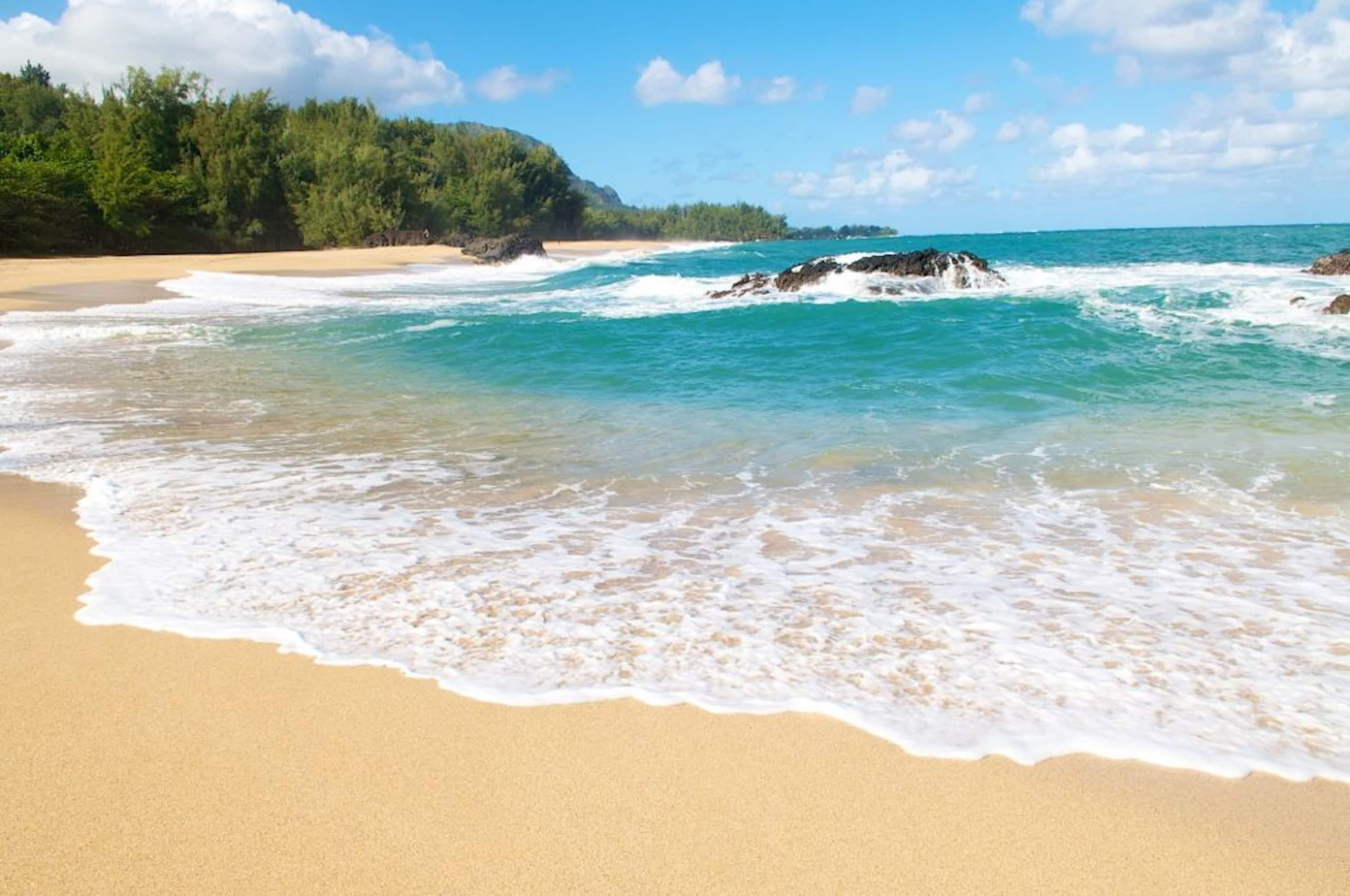 Waipouli Beach Resort C304 - Photo 29