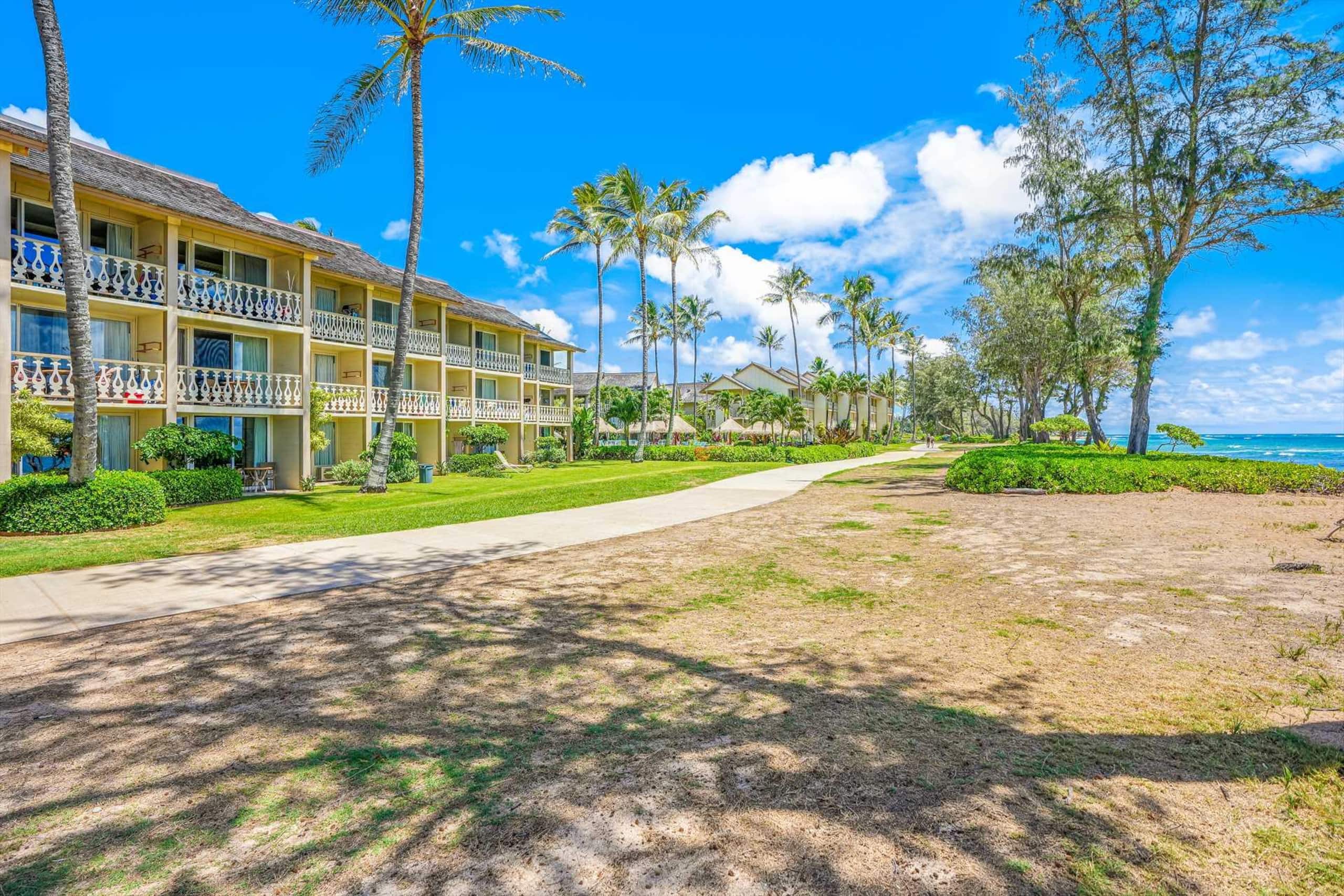 Islander on the Beach 152 Direct Oceanfront Studio - Photo 8