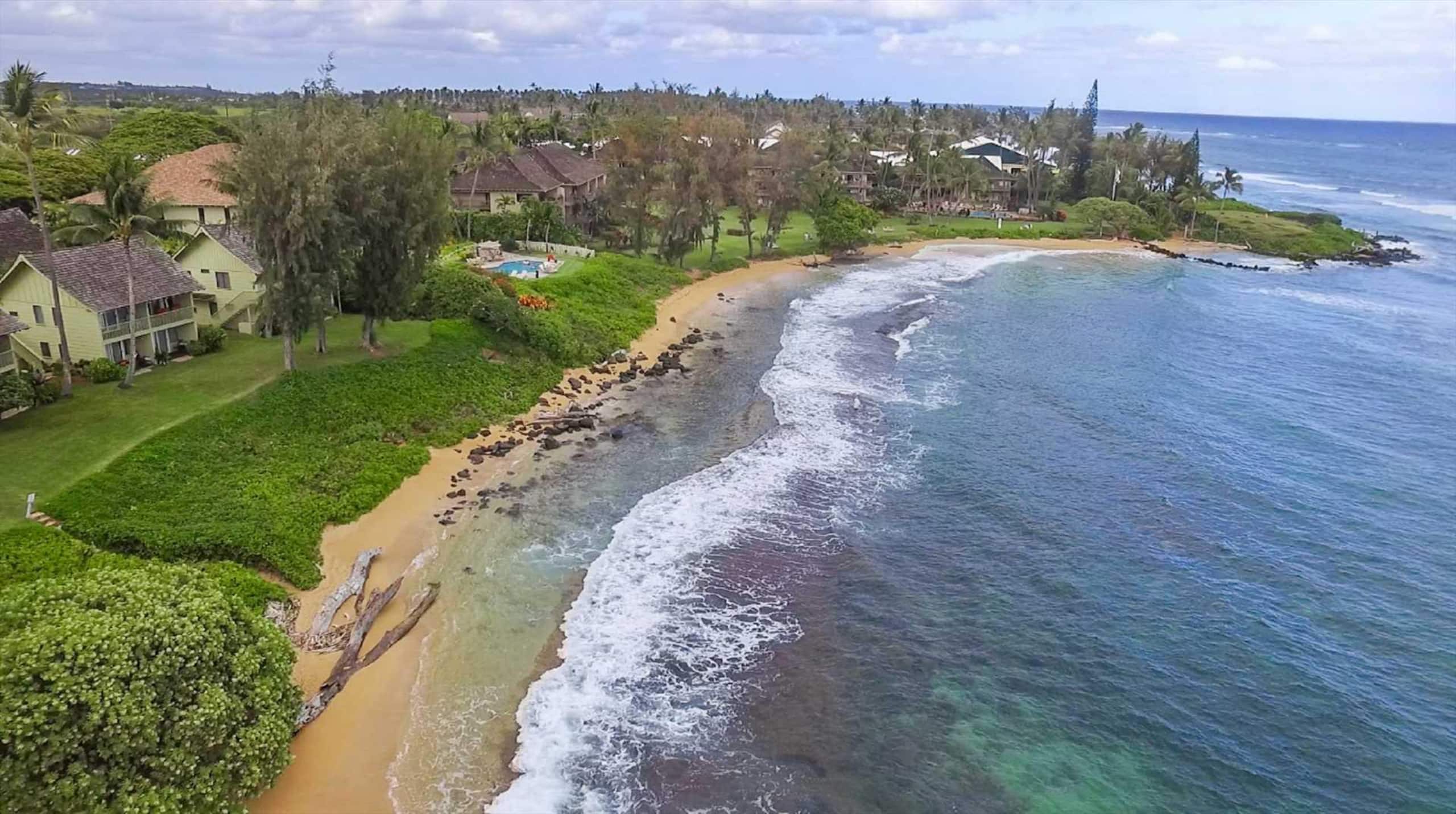 Kapaa Sands  Unit 10 Direct Oceanfront Studio - Photo 31