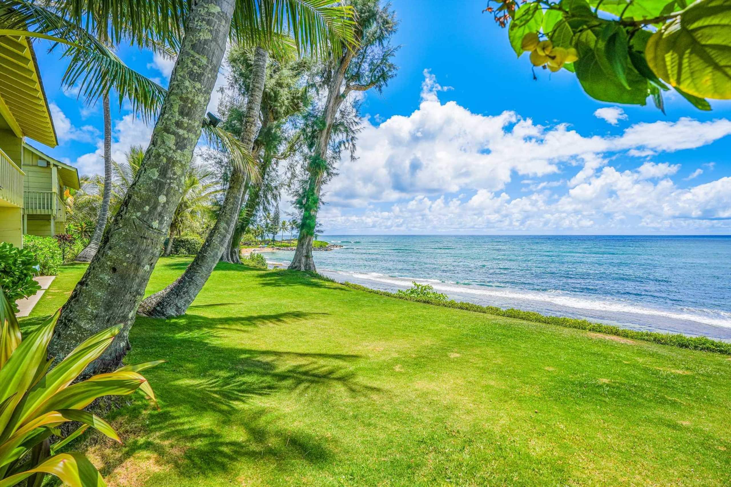 Kapaa Sands  Unit 10 Direct Oceanfront Studio - Photo 22