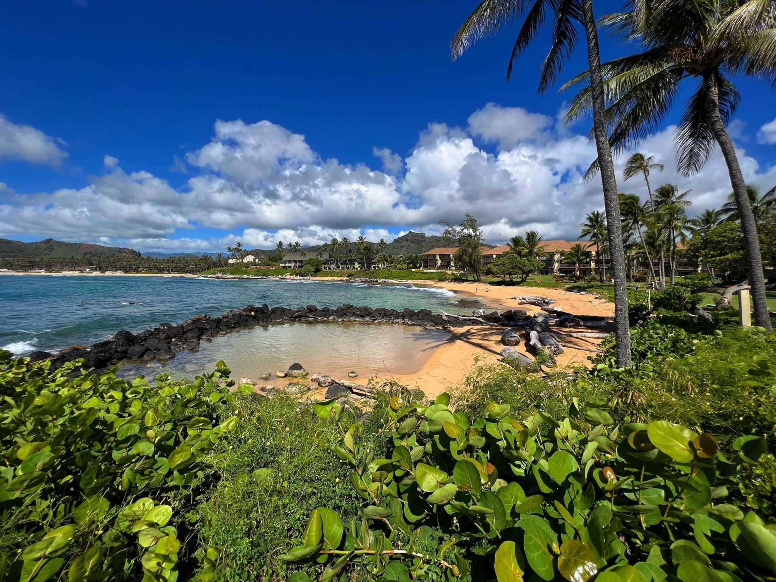 Kapaa Sands  Unit 10 Direct Oceanfront Studio - Photo 34