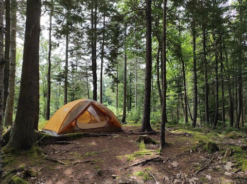 Tent Camping Site at the Deer Isle Hostel