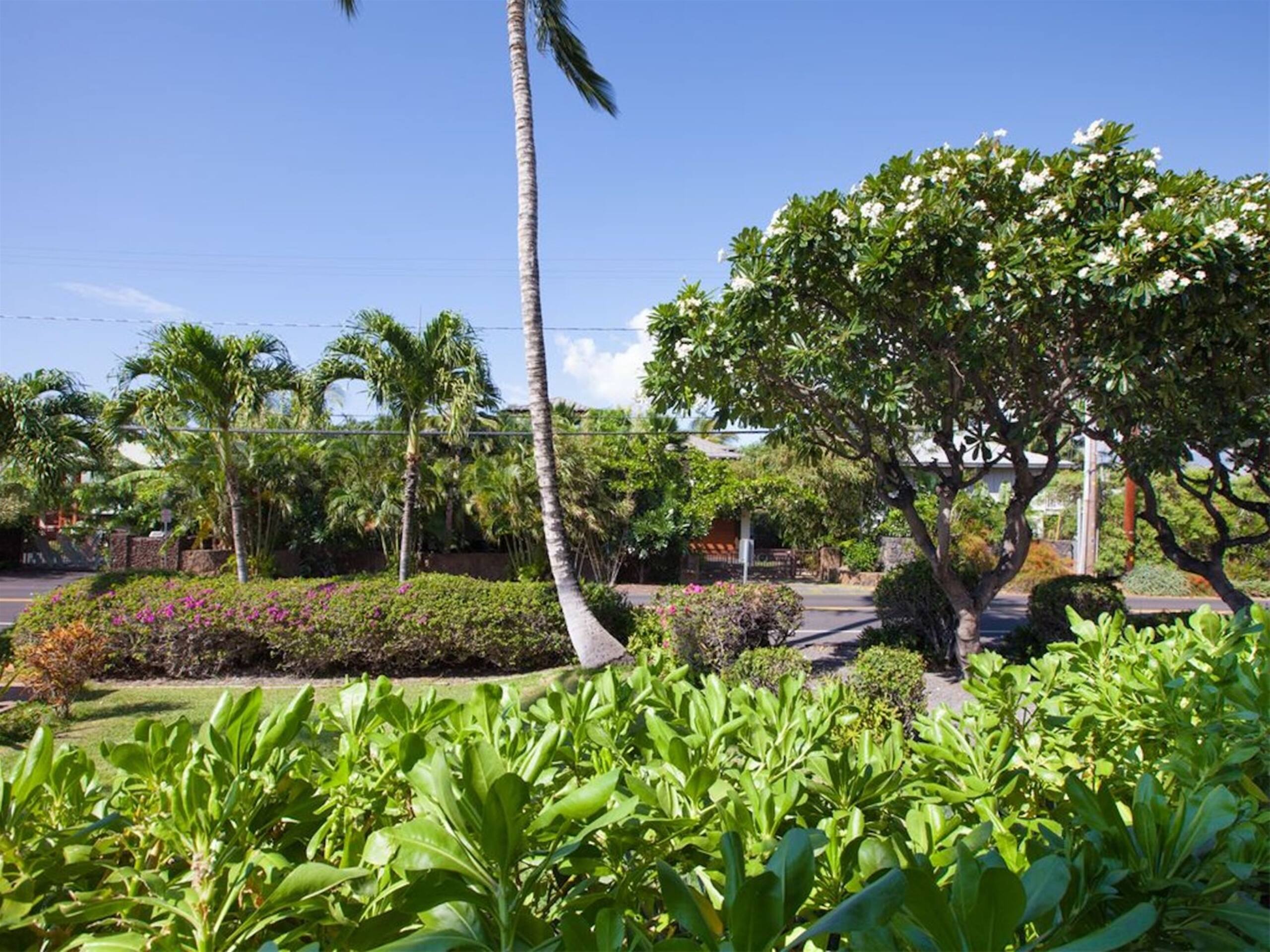 Puako Condo 109 3 BR Corner Ground Unit Pool - Photo 24