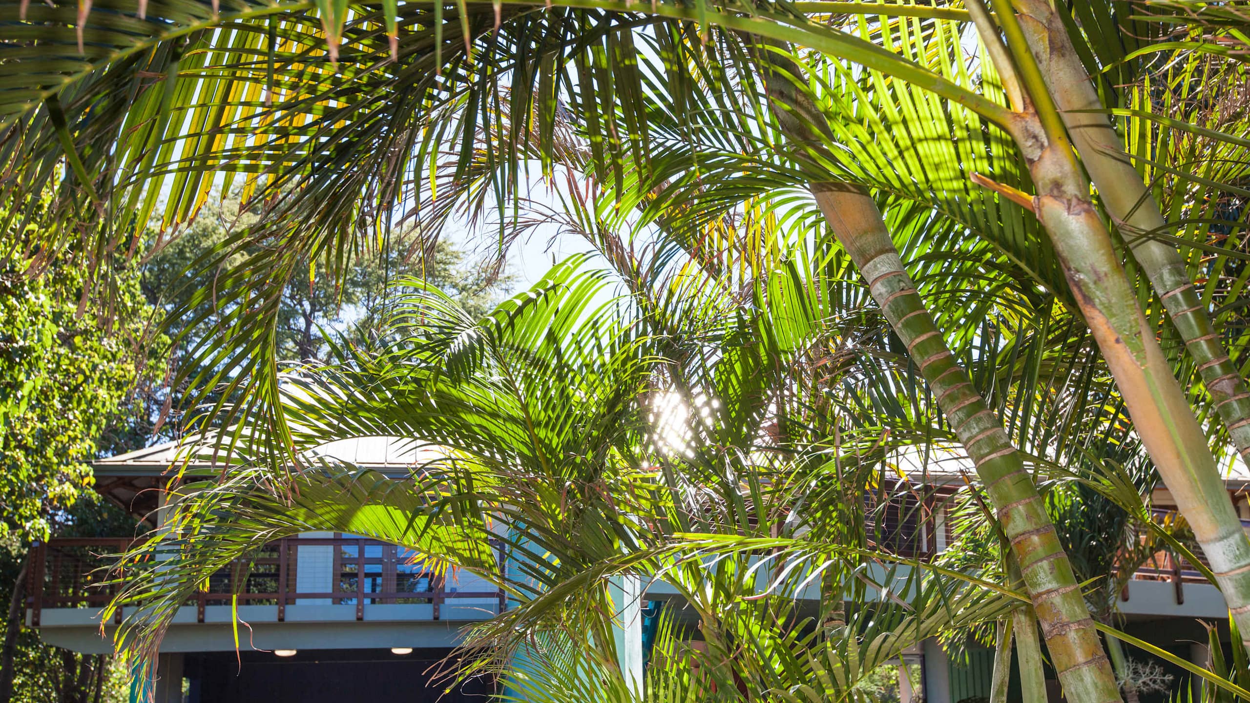 Home in Puako · ★4.81 · 2 bedrooms · 3 beds · 2 baths - Photo 21