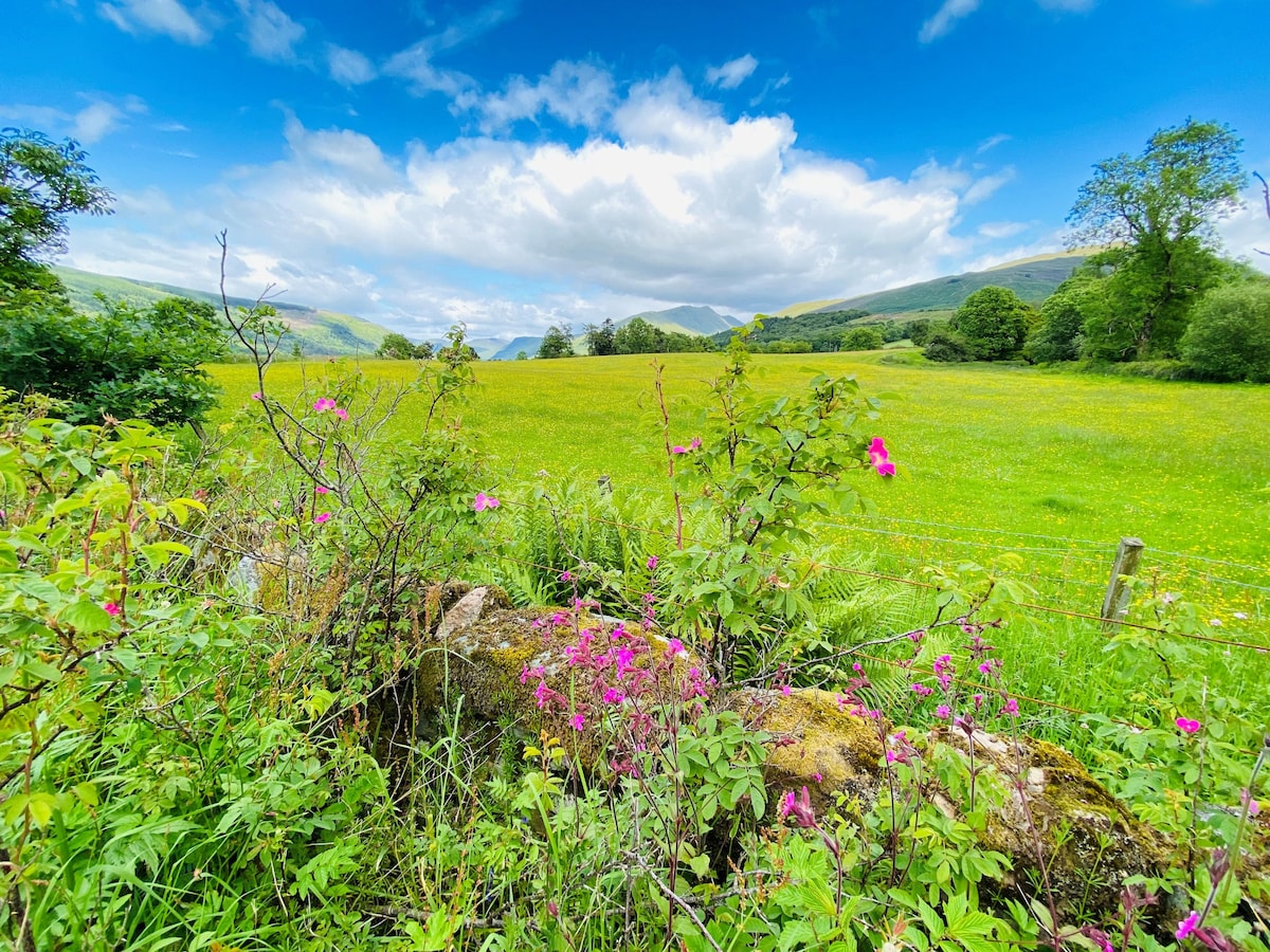 A vibrant landscape is depicted, featuring a lush green field extending towards distant hills under a partly cloudy blue sky. Wildflowers in shades of pink and green are visible in the foreground, adding color to the natural scene.