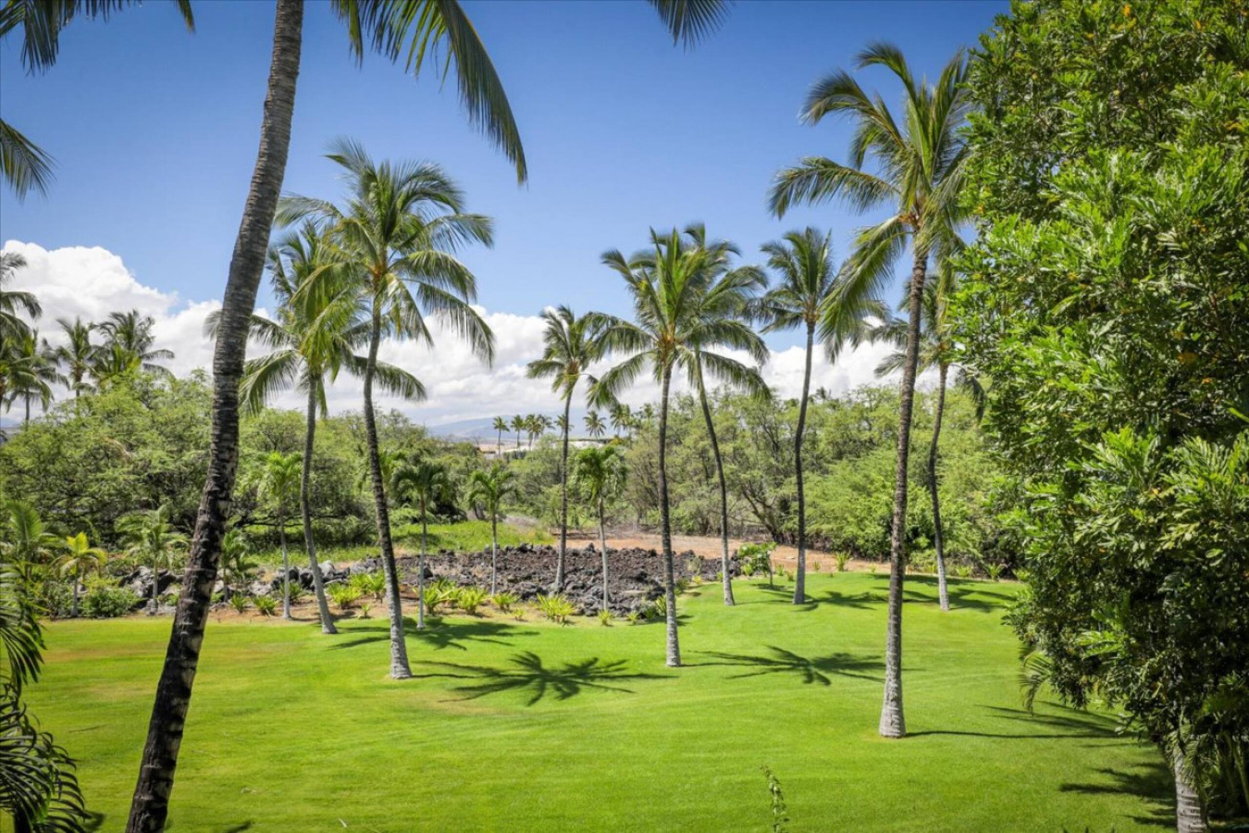 Townhouse in Waimea · ★4.84 · 2 bedrooms · 4 beds · 2.5 baths - Image 21