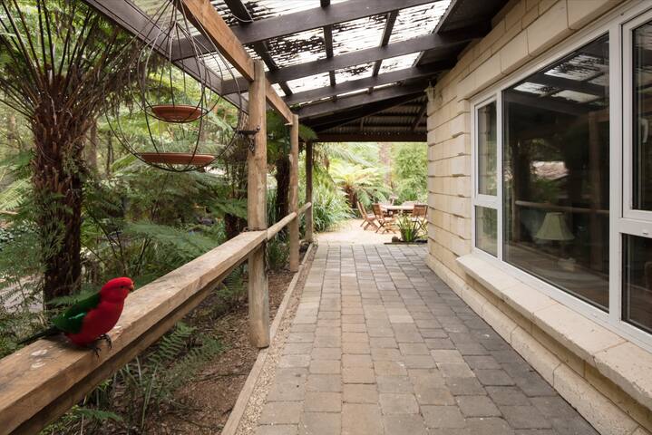 Windmill lodge: Private rainforest with river