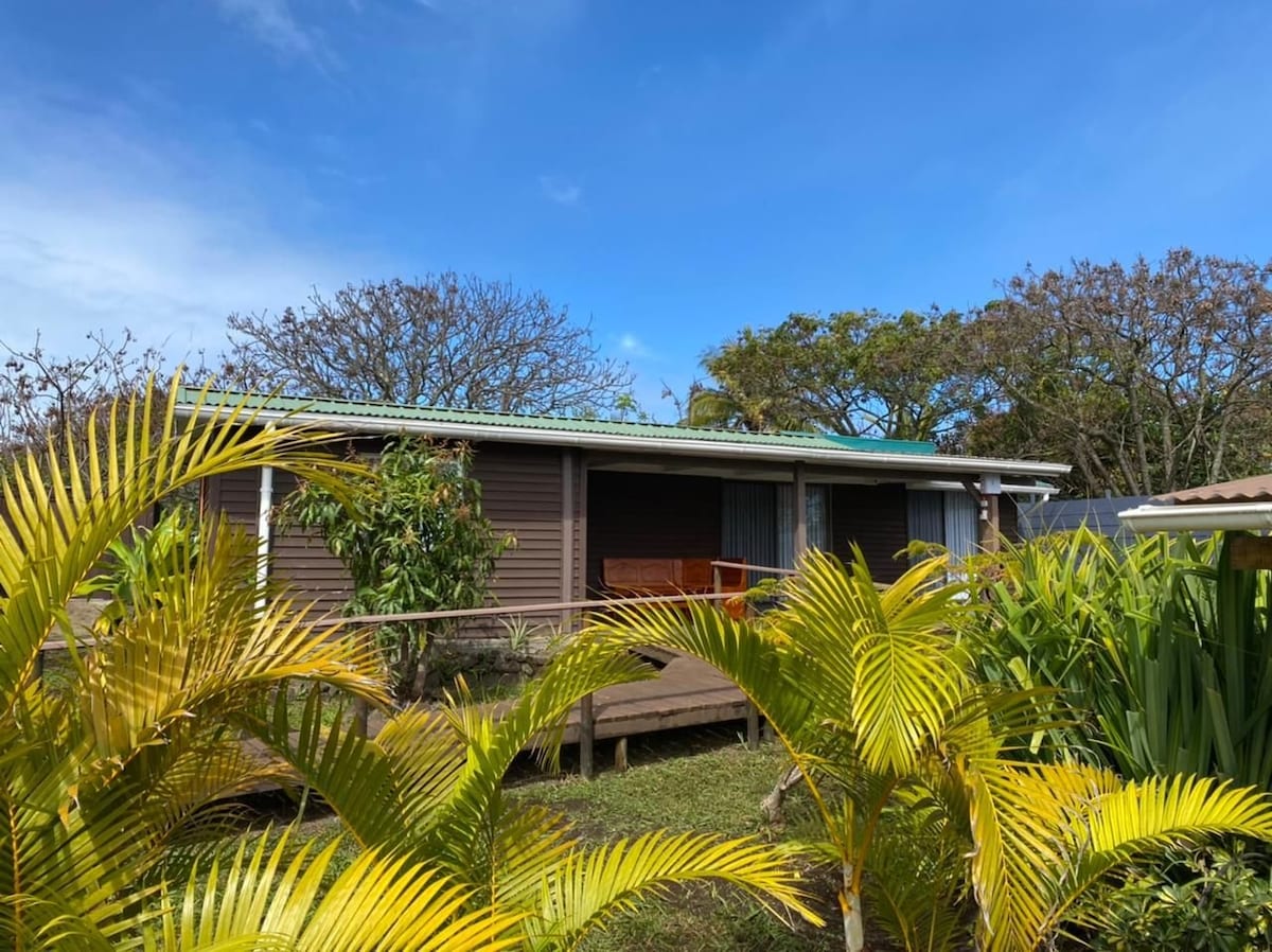 The cabaña features a wooden deck surrounded by tropical plants, with a cozy seating area visible on the porch. A clear blue sky complements the earthy tones of the cabin, creating a welcoming exterior that blends harmoniously with the natural surroundings.