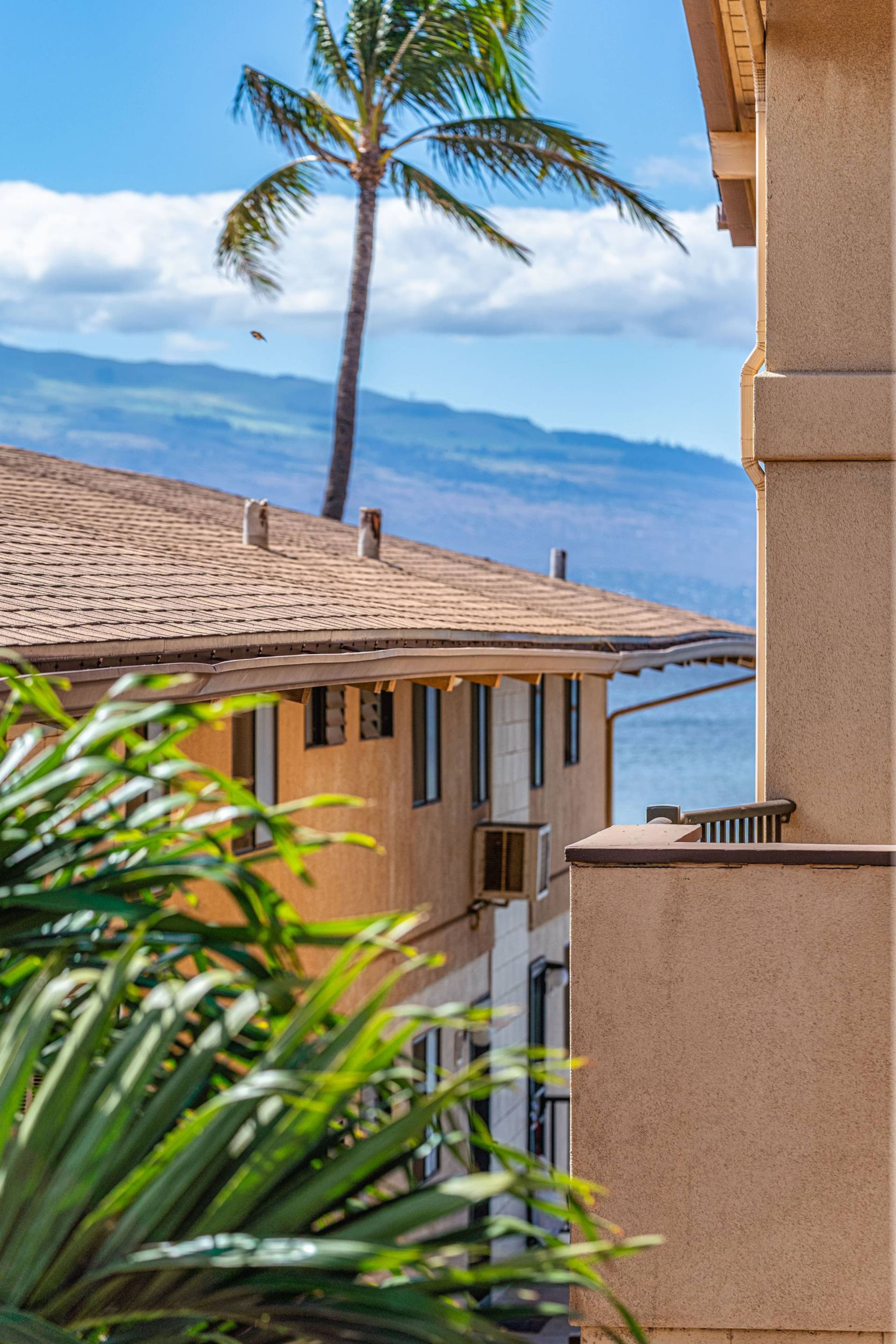 Condo in Wailuku · ★4.6 · 2 bedrooms · 5 beds · 2 shared baths - Image 15