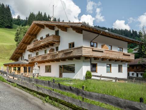 Group house with cinema and sauna