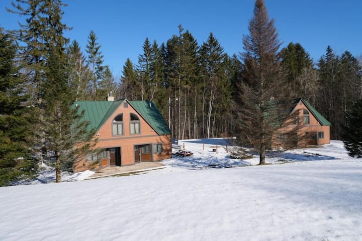 Ski On/off Spruce Glen 4 Acre Retreat - Killington, VT