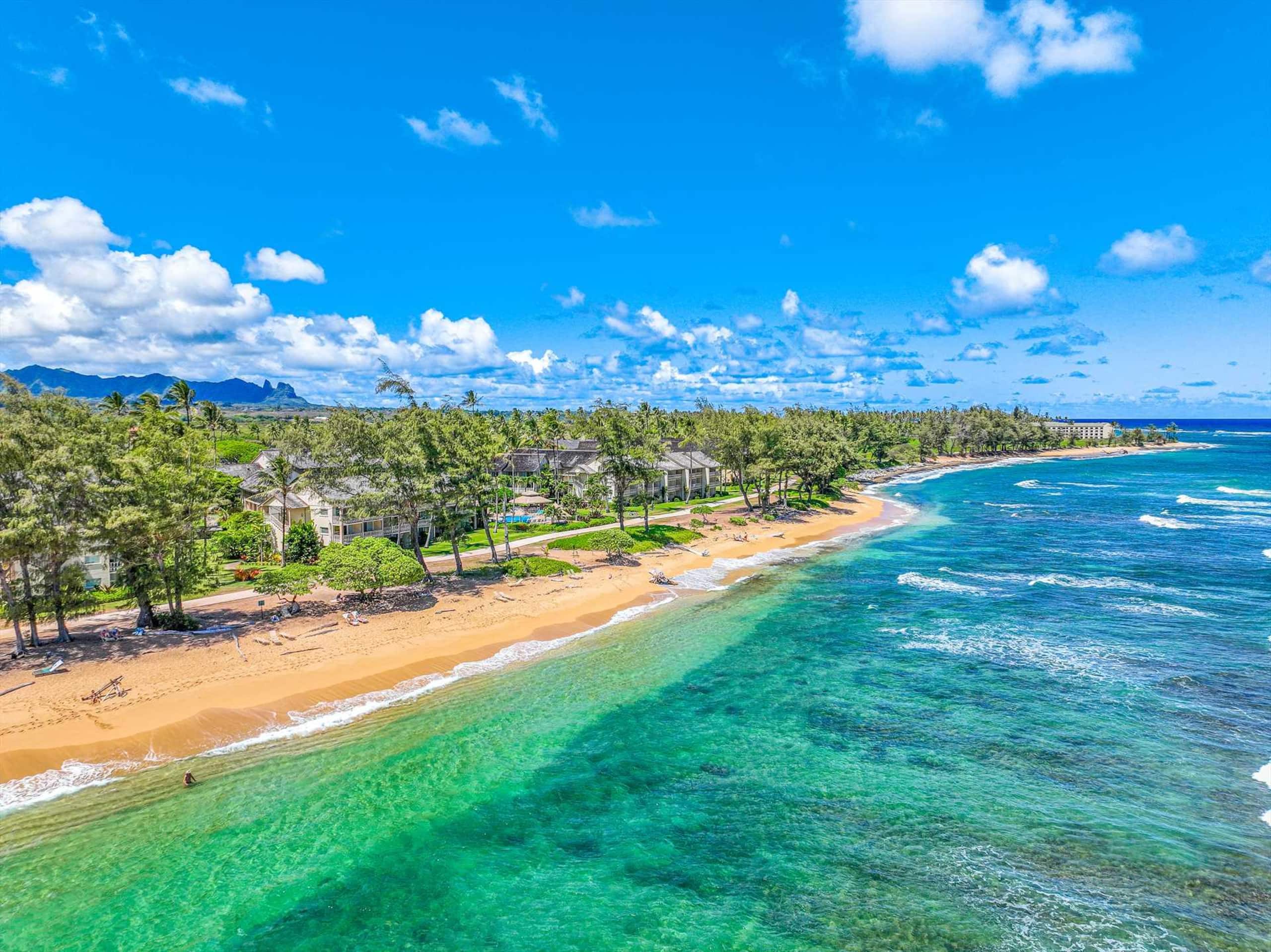 Islander on the Beach 363 Ocean View Studio - Photo 19