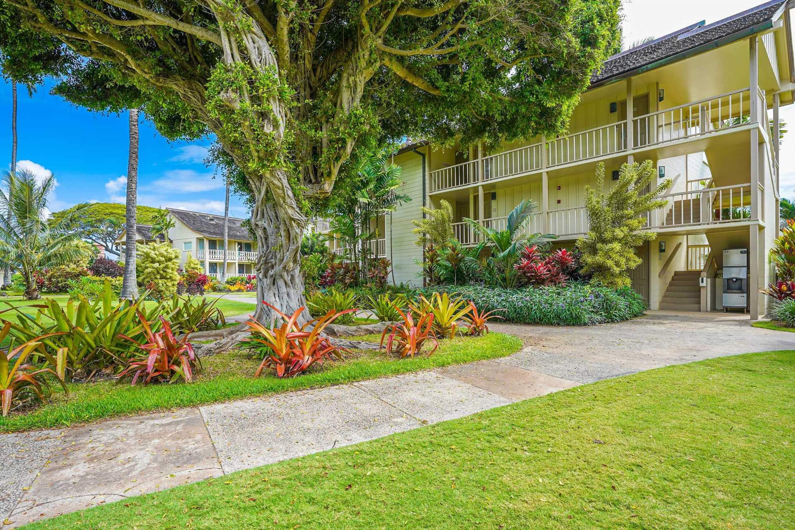 Islander on the Beach 363 Ocean View Studio - Photo 21