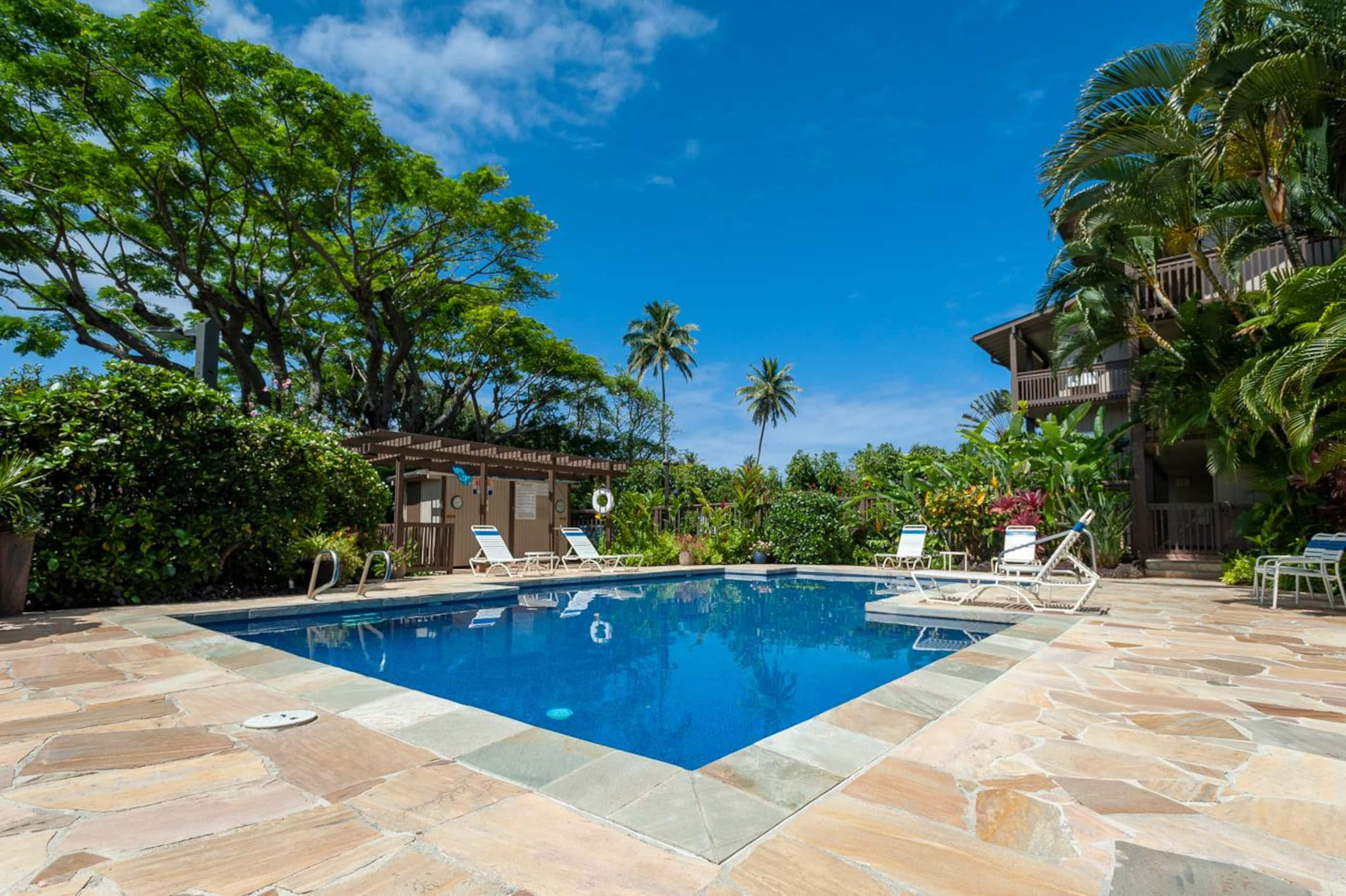 Beachside Kapaa top floor condo + A/C - Photo 5