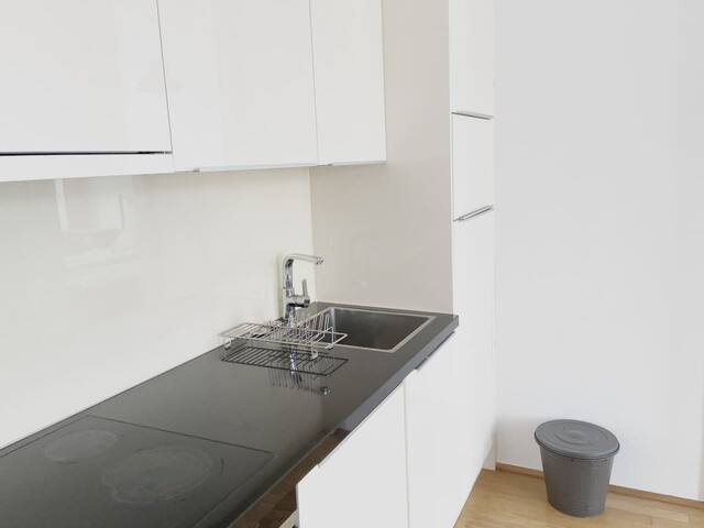 Designer Apartment in the City Center (Naschmarkt) gallery image 5