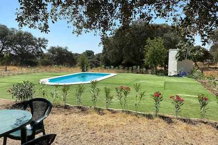 An outdoor area features a private swimming pool surrounded by lush greenery. A well-maintained lawn and garden surround the pool, creating a serene space for relaxation. A small dining table with chairs is positioned nearby, offering a view of the pool and the landscape.