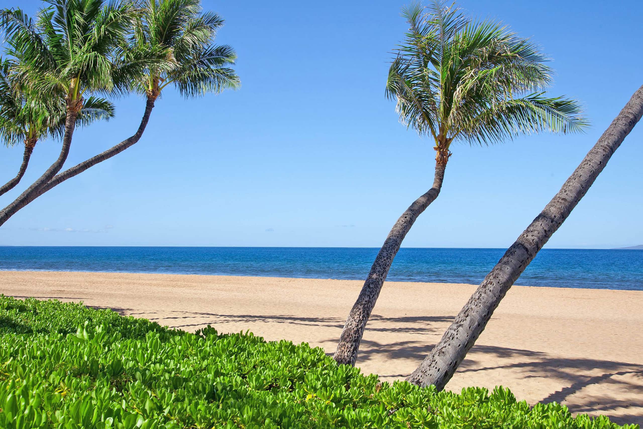 Condo in Lahaina · ★5.0 · 2 bedrooms · 4 beds · 2 private baths - Image 18