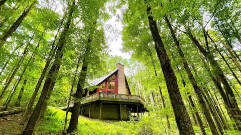 Private Cozy Hideaway w/Hot Tub - Hike from Cabin!