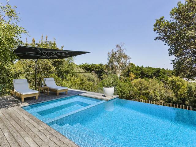 South Beach Luxury – Pool, Spa, Sauna, Gym gallery image 4