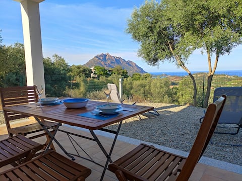Apartment La Ginestra - Short Term Rentals Italy